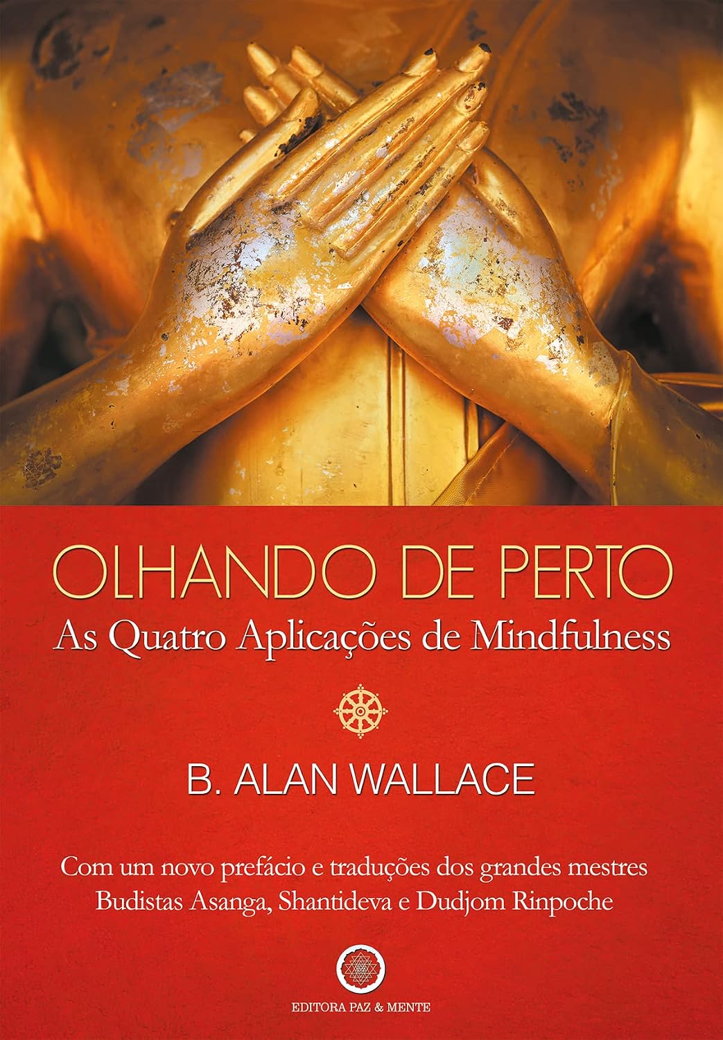 Olhando de Perto: As Quatro Aplicações de Mindfulness