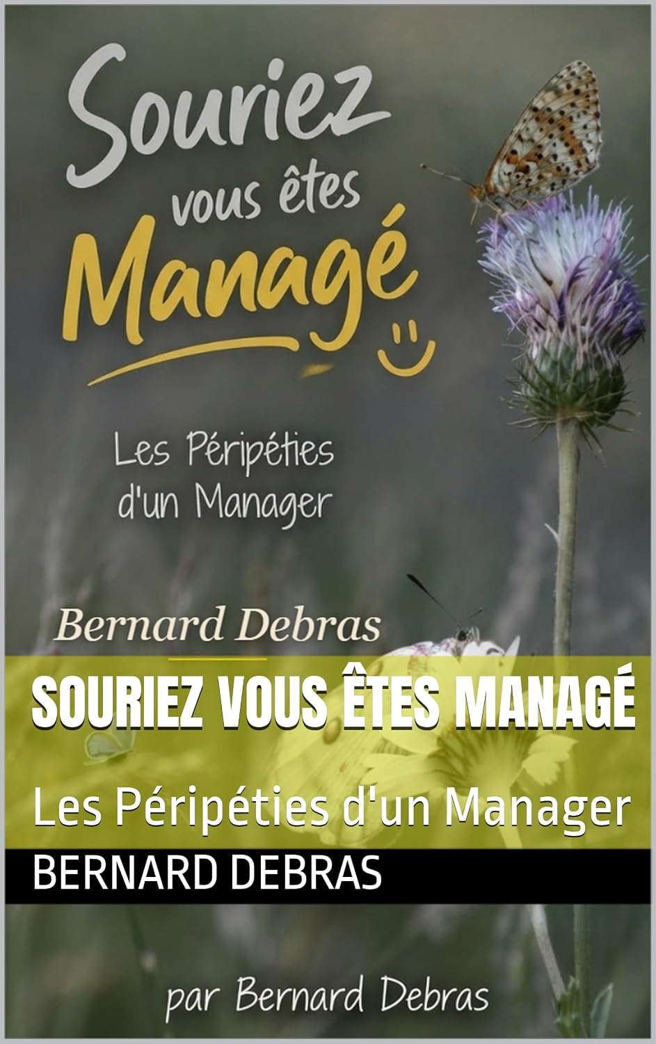Souriez vous êtes Managé: Les Péripéties d'un Manager (French Edition) baixar livro de graça
