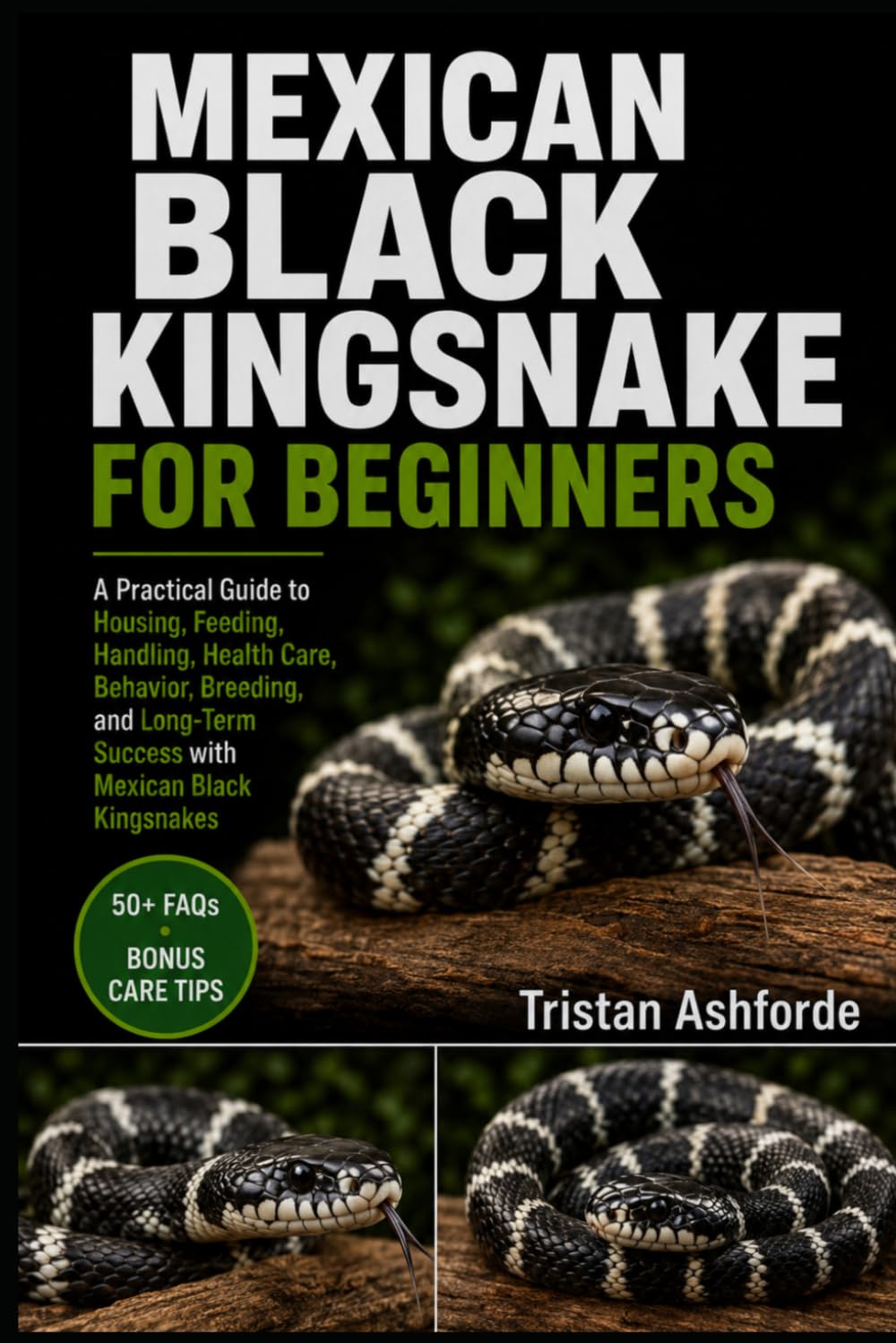 capítulo por capítulo baixar Mexican Black Kingsnake for Beginners: A Practical Guide to Housing, Feeding, Handling, Health Care, Behavior, Breeding, and Long-Term Success with Mexican Black Kingsnakes