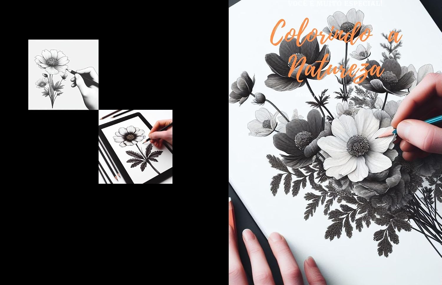 Colorindo a natureza: A arte de colorir a natureza baixar o livro de graça