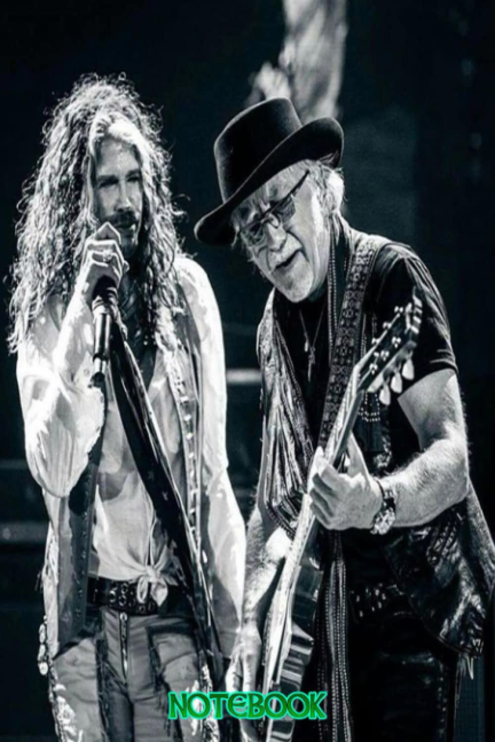 Notebook: Steven Tyler Notebook for Writing, Thankgiving Notebook Diary, Perfect Present for Fans #569 baixar o livro de graça