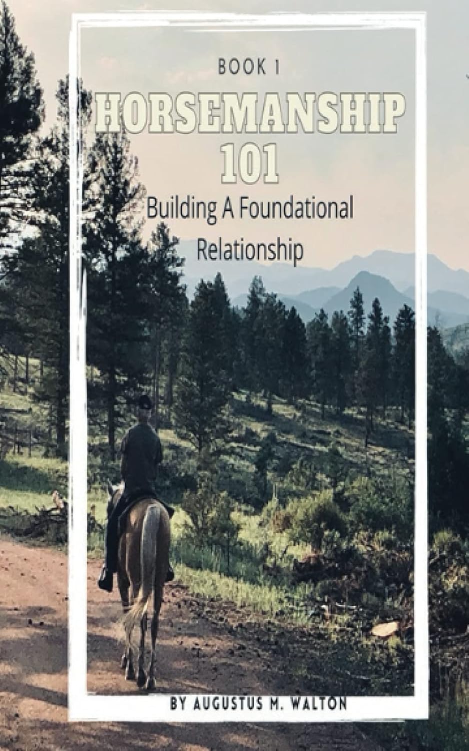 ler totalmente Horsemanship 101: Building the Foundational Relationship (Horsemanship 101: Beginner)