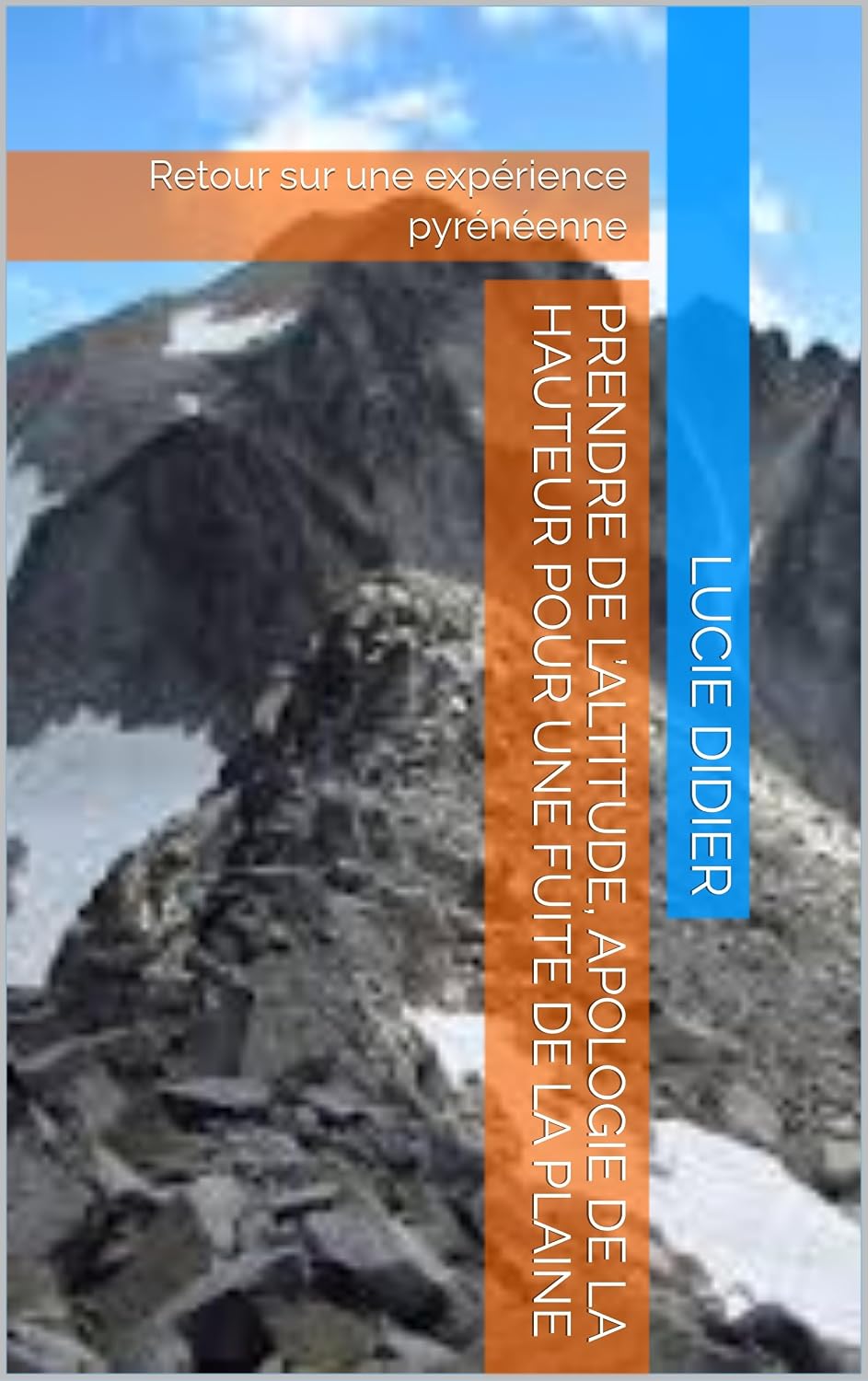 ler totalmente Prendre de l’altitude, apologie de la hauteur pour une fuite de la plaine: Retour sur une expérience pyrénéenne (French Edition)