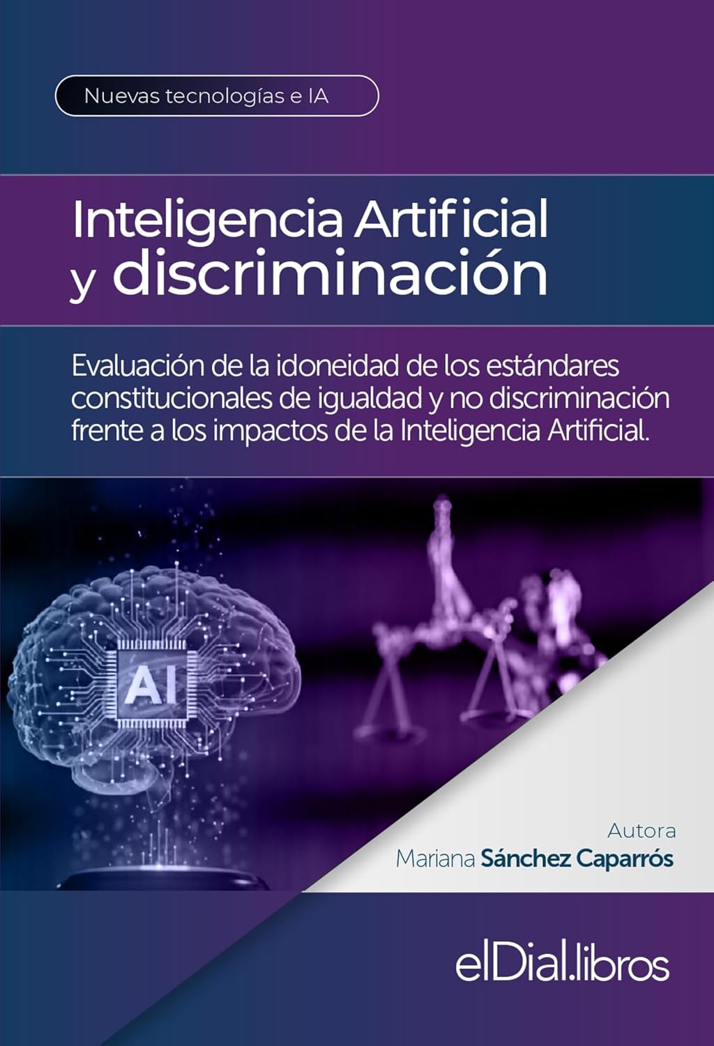 Inteligencia artificial y discriminación: Evaluación de la idoneidad de los estándares constitucionales de igualdad y no discriminación frente a los impactos... la igualdad ante la ley. (Spanish Edition) baixar livro de graça