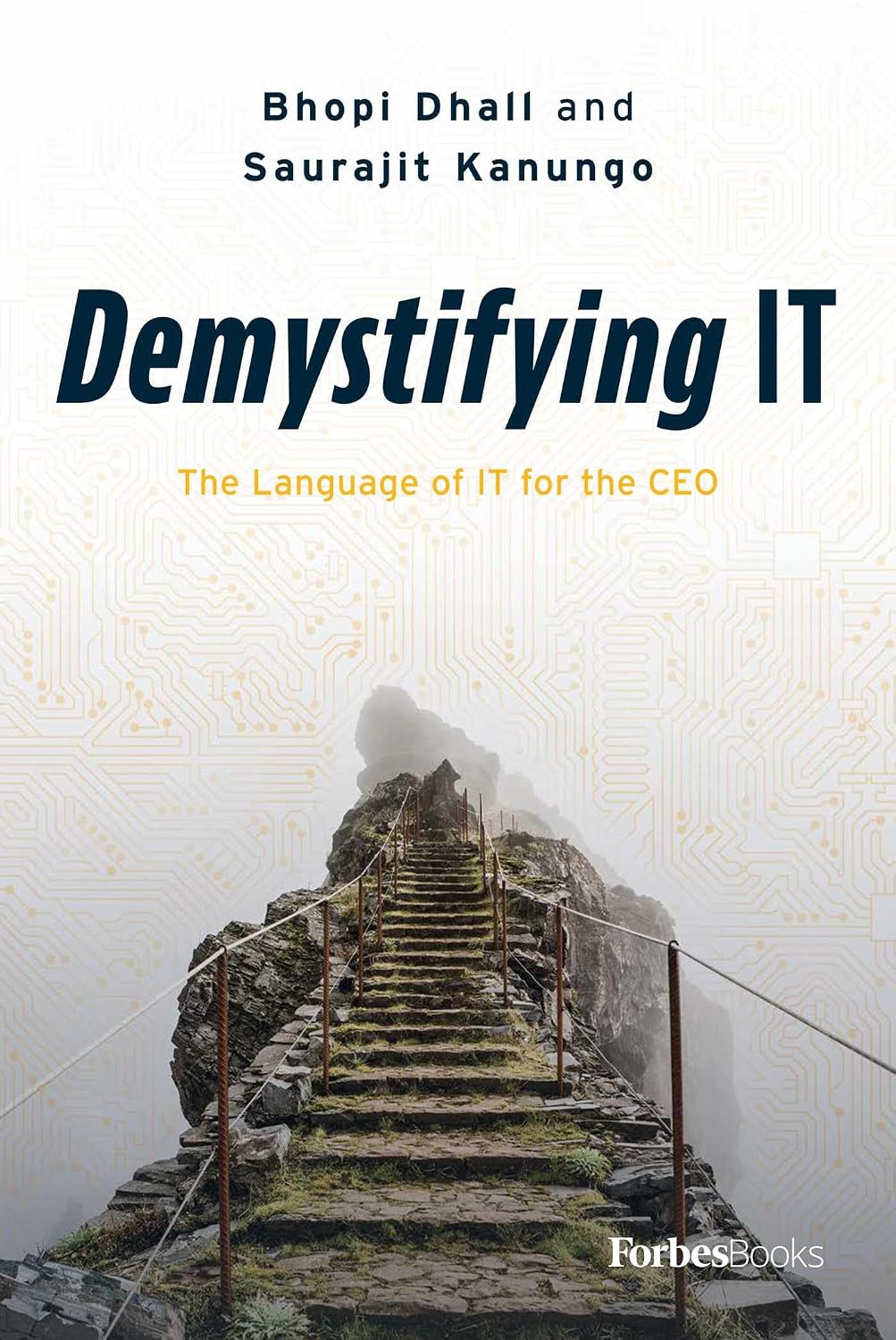 Demystifying IT: The Language of IT for the CEO (English Edition)