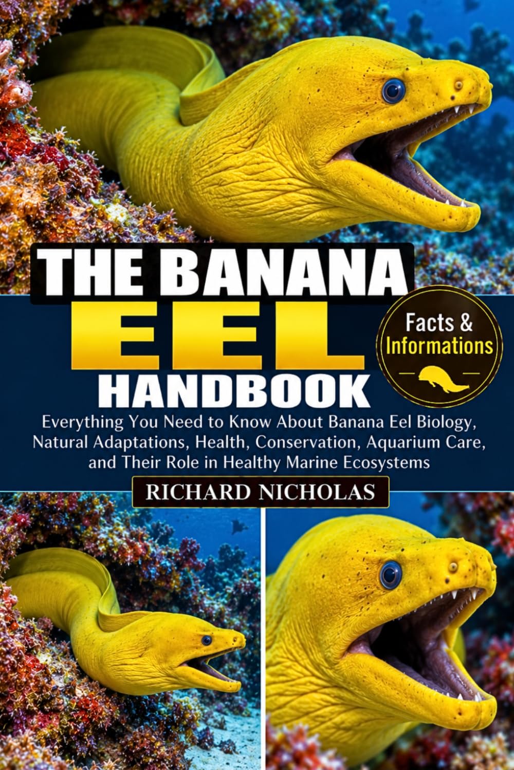 The Banana Eel Handbook: Everything You Need to Know About Banana Eel Biology, Natural Adaptations, Health, Conservation, Aquarium Care, and Their Role in Healthy Marine Ecosystems baixar livro de graça