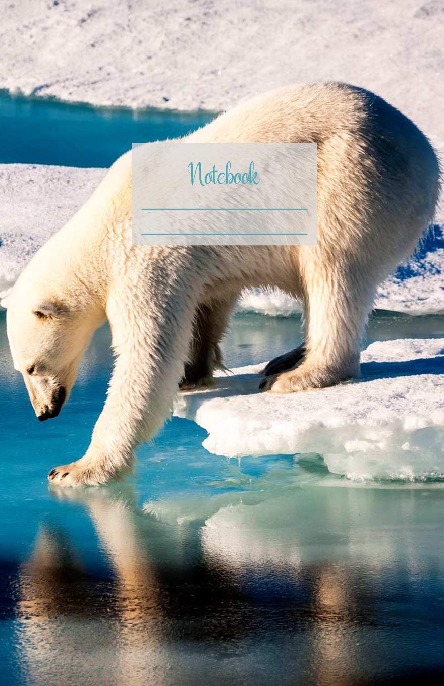 ler totalmente Notebook: Dotted grid Journal. Bullet Diary. Ideal for Notes, Memories, Journaling, Creative planning and Calligraphy practice. 120 Pages. Soft matte... x 8.5. Great gift idea. (Polar bear cover).