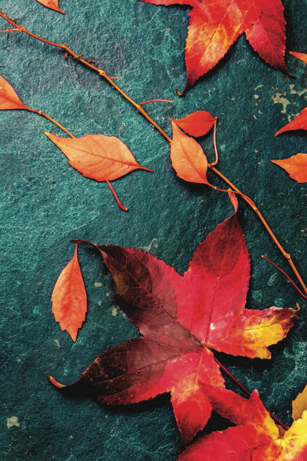 ler totalmente Autumn Leaves A5 Notebook: Beautiful Autumnal cover for this A5 sized notebook with 300 ruled pages with left-sided margins