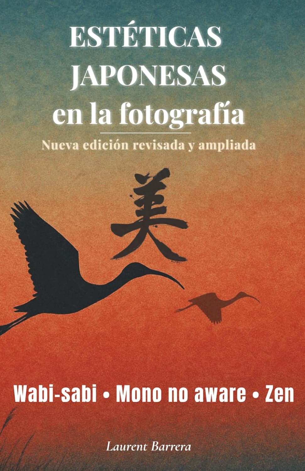 capítulo por capítulo baixar Estéticas japonesas en la fotografía: Wabi-sabi, Zen, Mono no aware. El arte de mirar y fotografiar (Spanish Edition)
