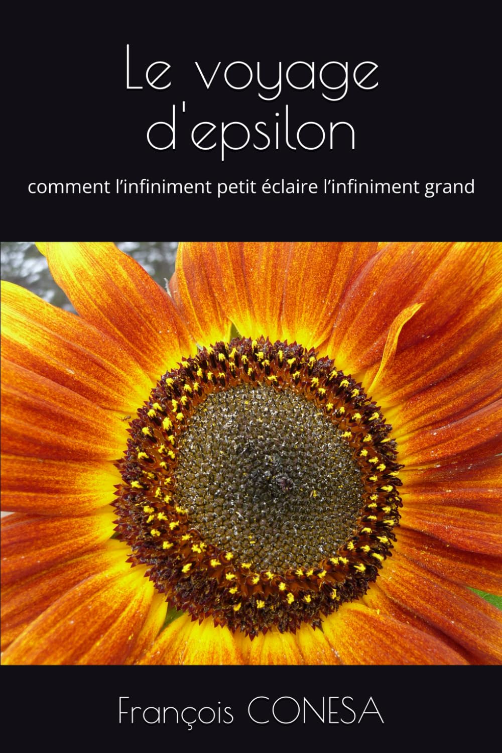 capítulo por capítulo baixar Le voyage d'epsilon: comment l’infiniment petit éclaire l’infiniment grand