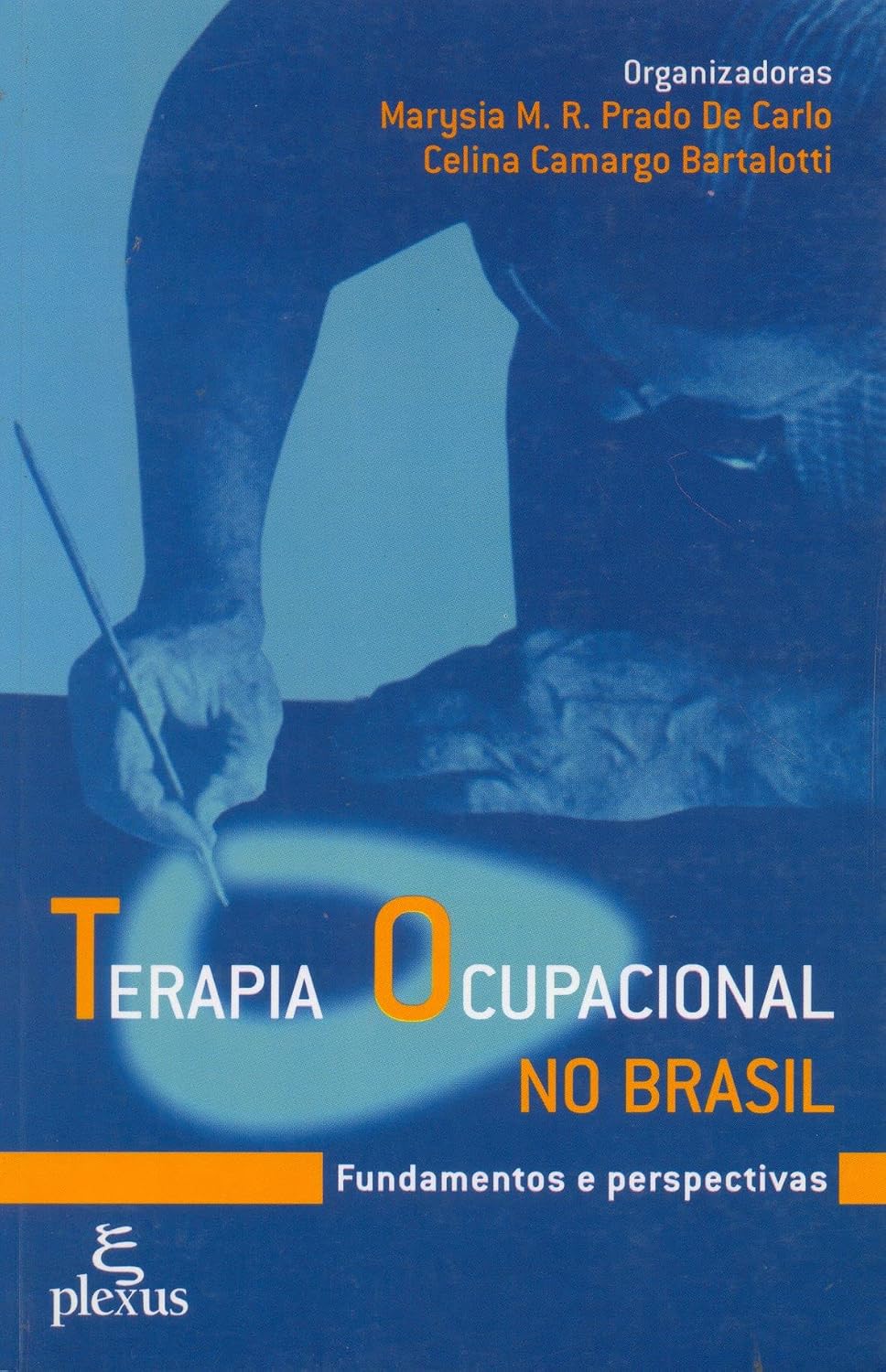 Terapia ocupacional no Brasil: fundamentos e perspectivas baixar livro de graça