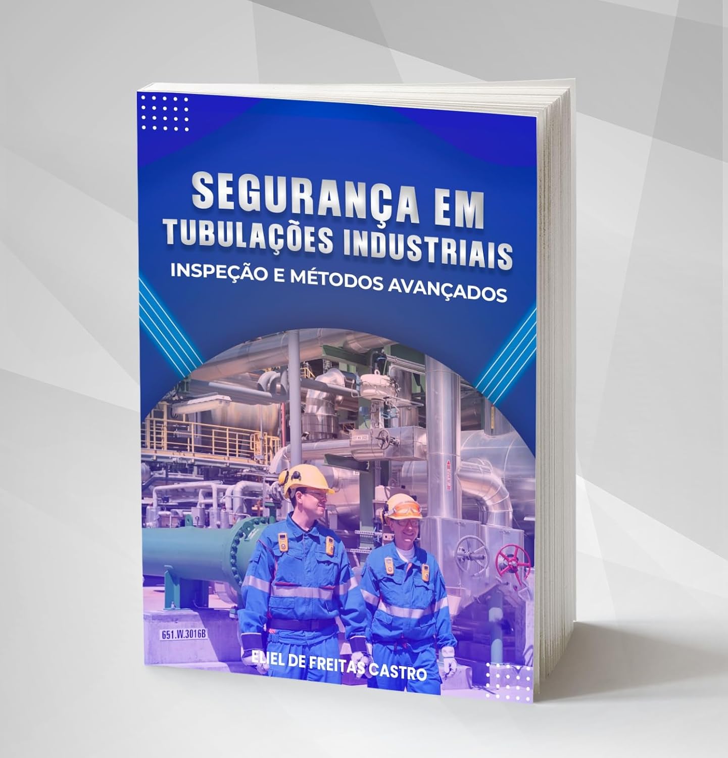 capítulo por capítulo baixar Segurança em Tubulações Industriais: Inspeção e Métodos Avançados