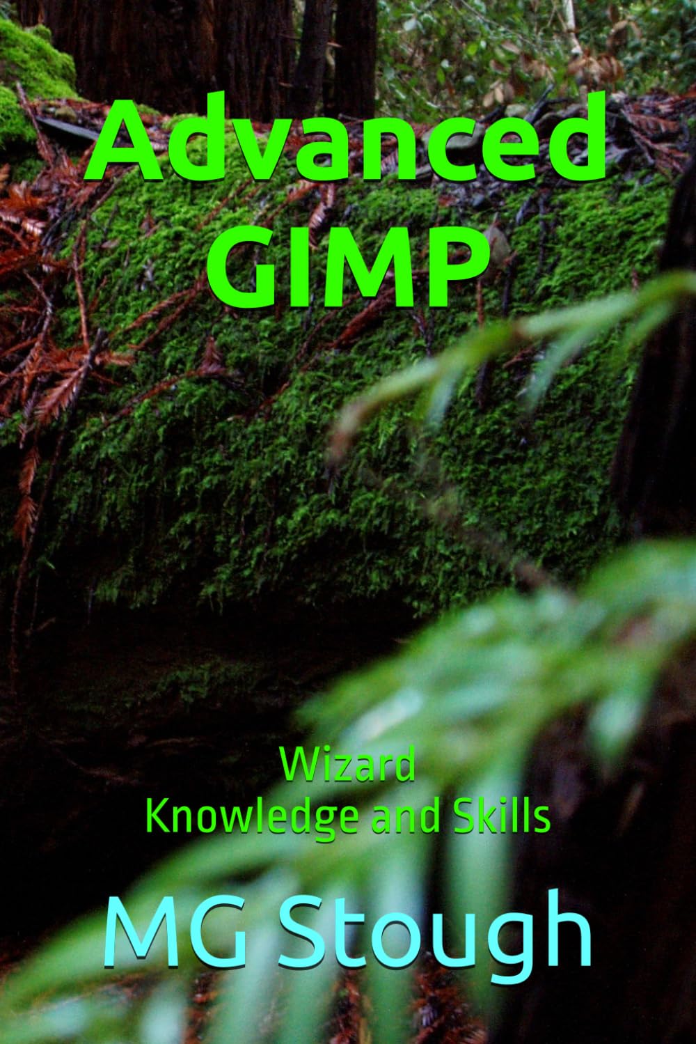 capítulo por capítulo baixar Advanced GIMP: Wizard Knowledge and Skills (Linux Desktop Mainframe Operating System Mastery)