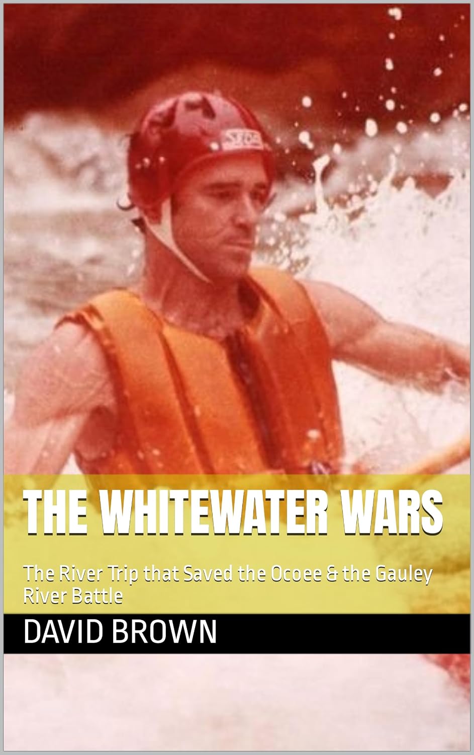The Whitewater Wars: The River Trip that Saved the Ocoee & the Gauley River Battle (English Edition) baixar livro de graça
