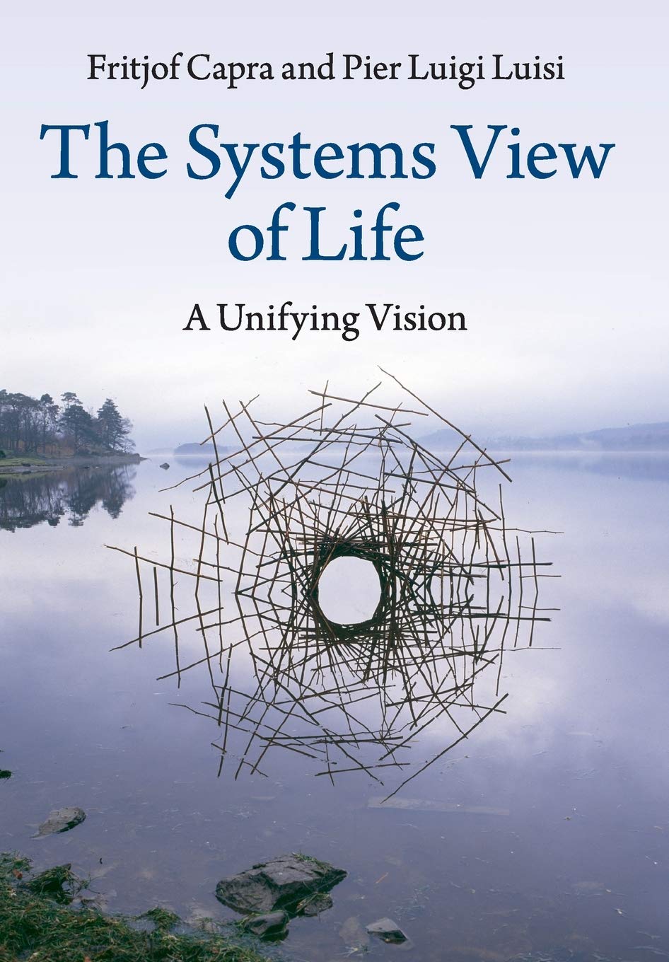 The Systems View of Life: A Unifying Vision baixar o livro de graça