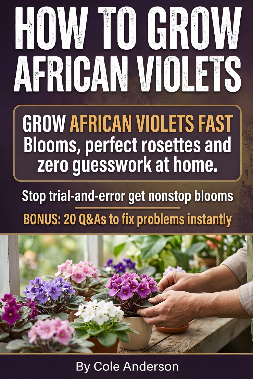 capítulo por capítulo baixar How to Grow AFrican Violets: light, watering, potting mix, feeding, propagation, and fixes that keep your african violets plant compact and packed with african violets flowers.