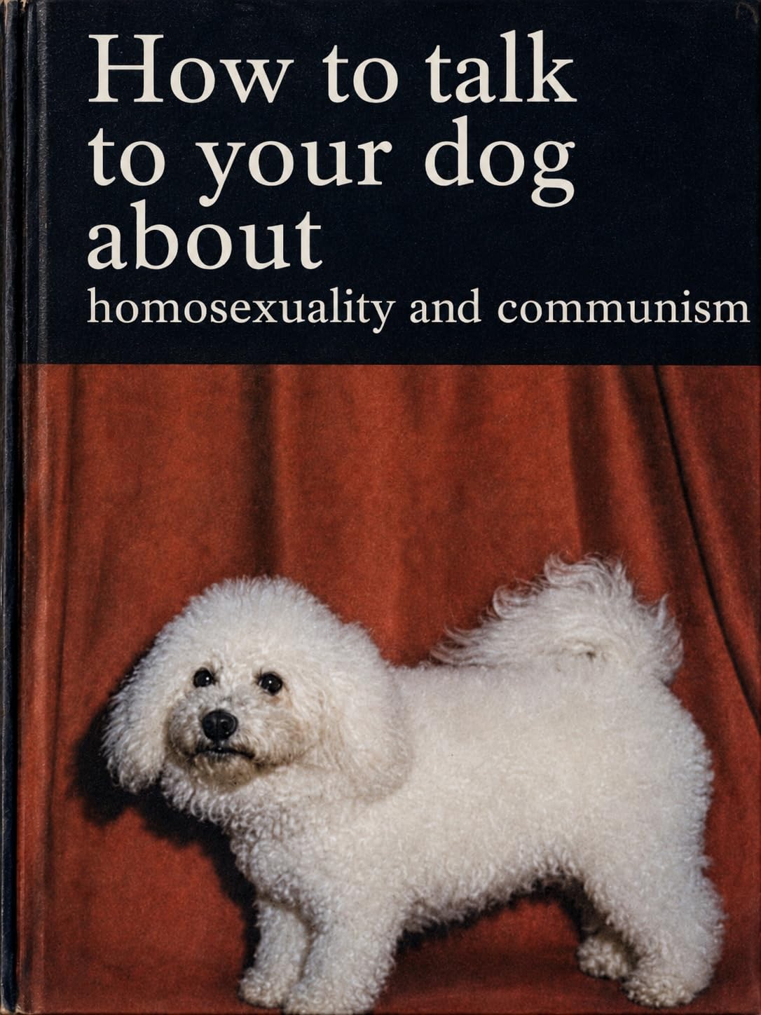 ler totalmente How to Talk to Your Dog About Homosexuality and Communism (English Edition)