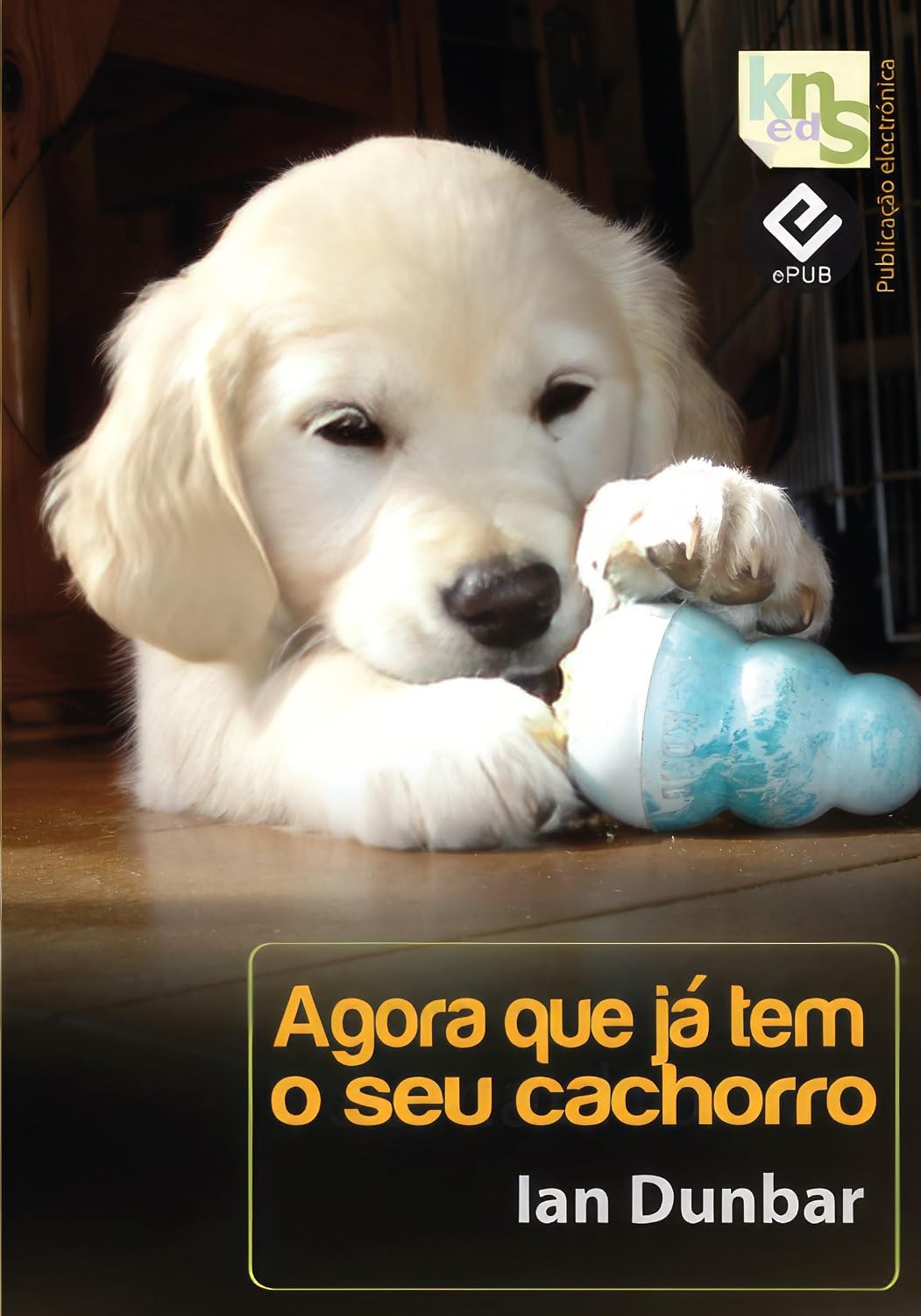 ler totalmente Agora que já tem o seu cachorro