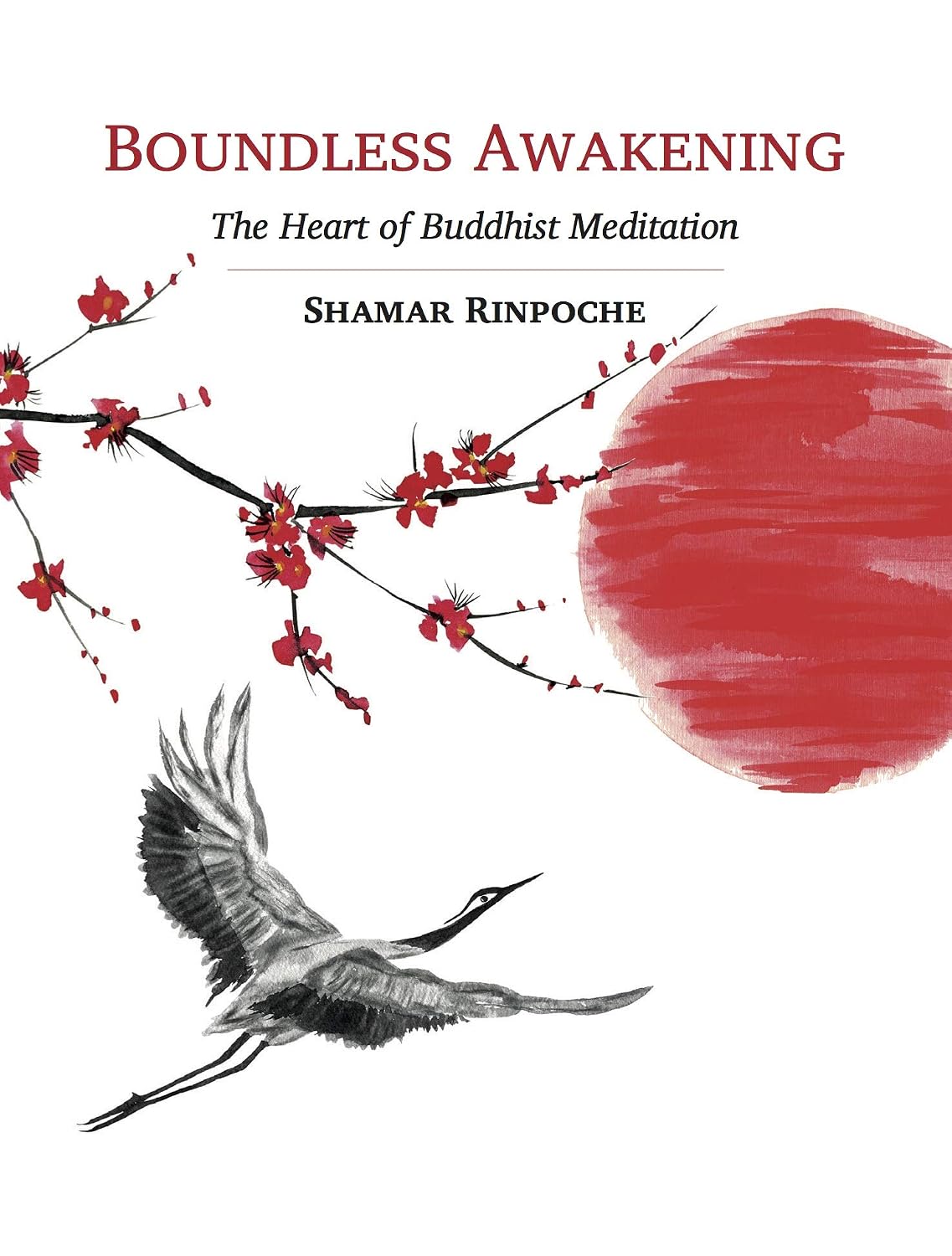 ler totalmente Boundless Awakening: The Heart of Buddhist Meditation (English Edition)