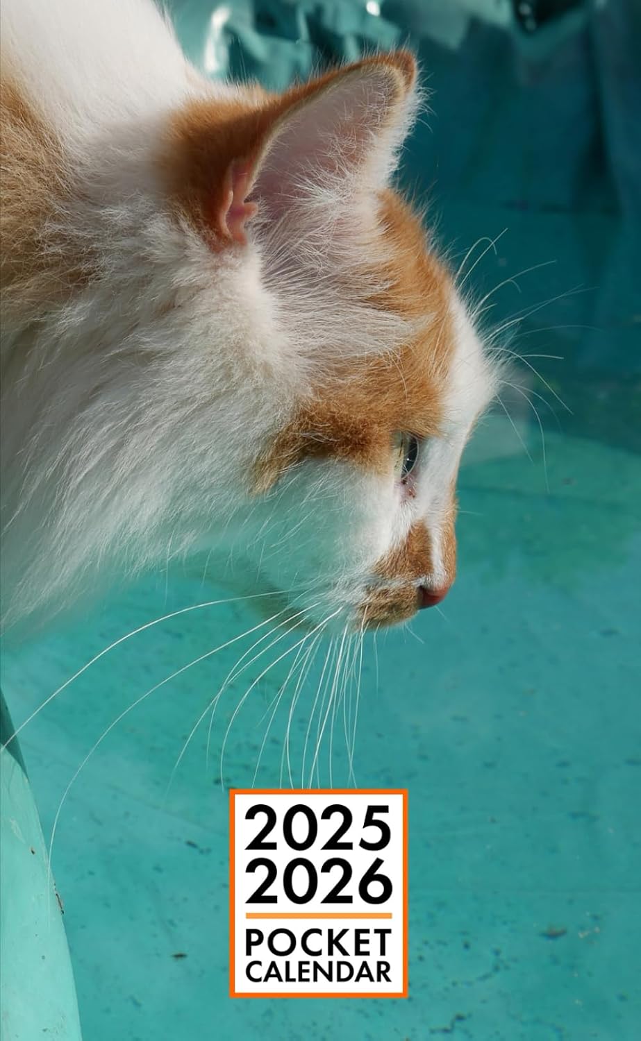 Pocket Calendar 2025-2026 for Purse - Zeus Cat v5 | 2 Year Pocket Planner January 2025 - December 2026 | Small Pocket Size 4 x 6.5 | Sketches of Cats in the Middle baixar livro de graça