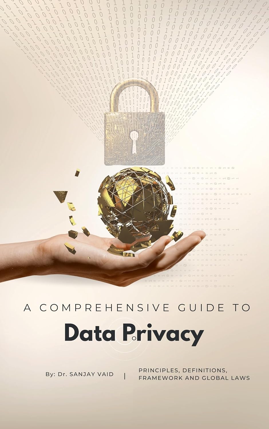 THE COMPREHENSIVE GUIDE TO DATA PRIVACY: PRINCIPLES, DEFINITIONS, FRAMEWORK AND GLOBAL LAWS (English Edition) baixar livro de graça
