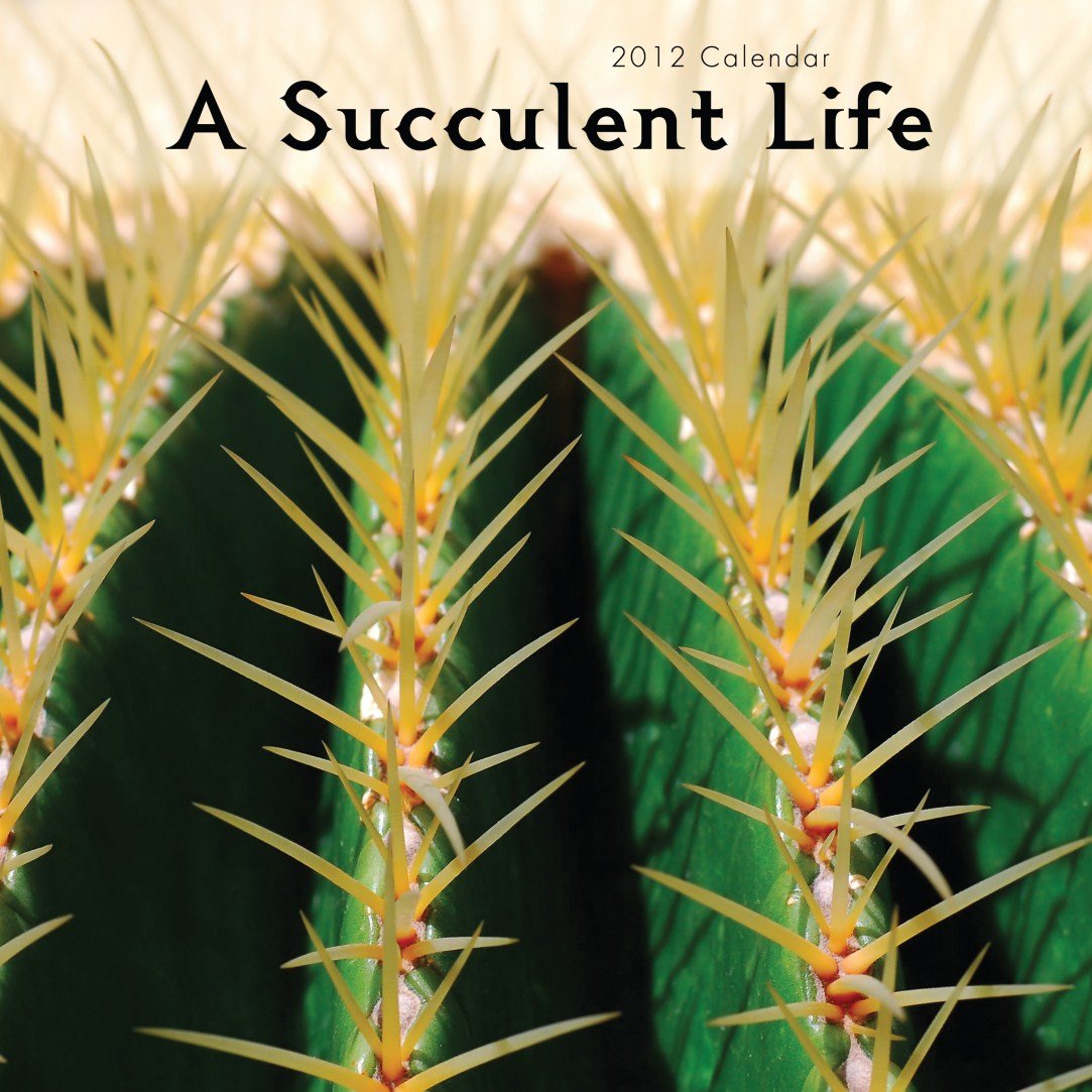 A Succulent Life 2012 Calendar baixar livro de graça