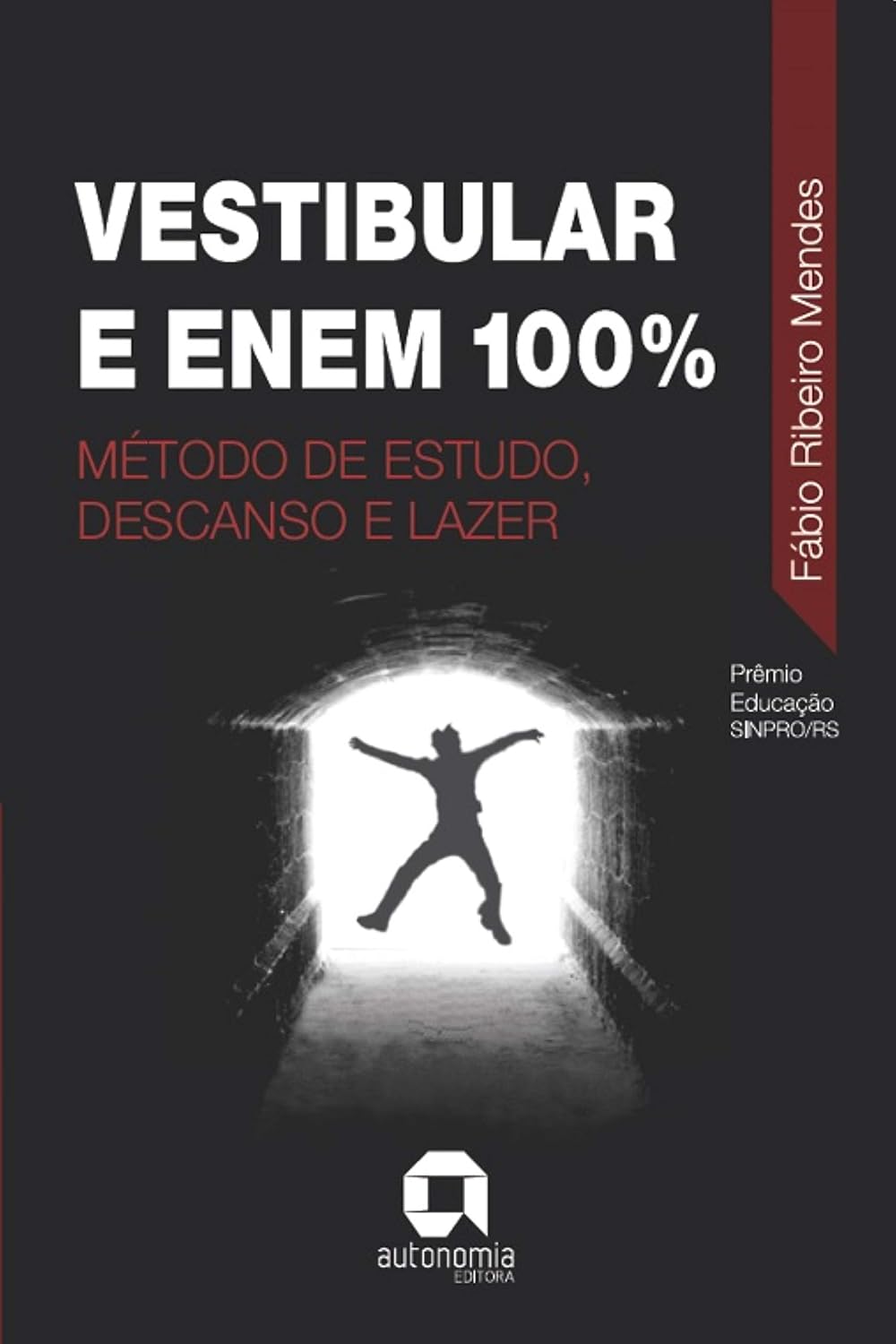 Vestibular e Enem 100%: Método de Estudo, Descanso e Lazer baixar livro de graça