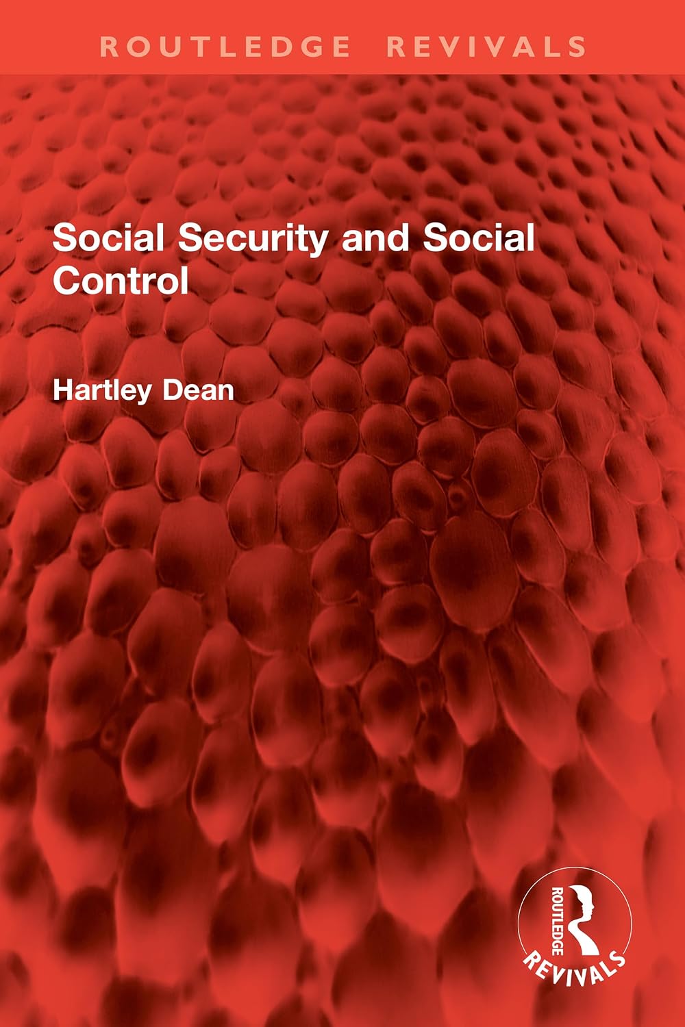 Social Security and Social Control (Routledge Revivals) (English Edition) baixar livro de graça