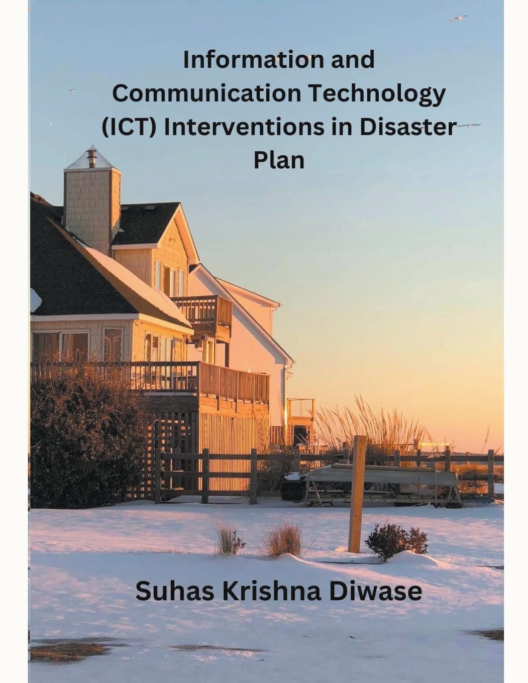 Information and Communication Technology (ICT) Interventions in Disaster Plan baixar o livro de graça