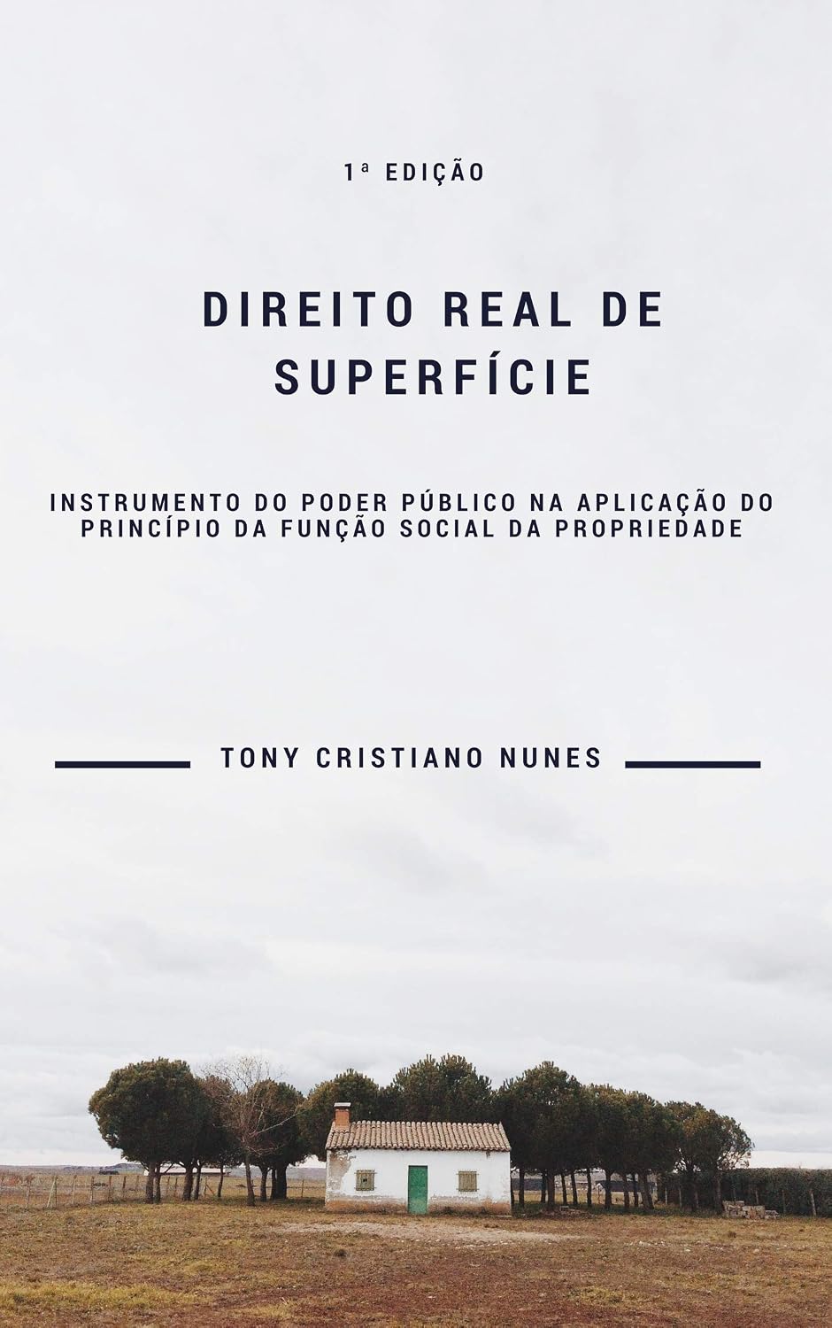 Direito Real de Superfície: Instrumento do Poder Público na Aplicação do Princípio da Função Social da Propriedade baixar o livro de graça