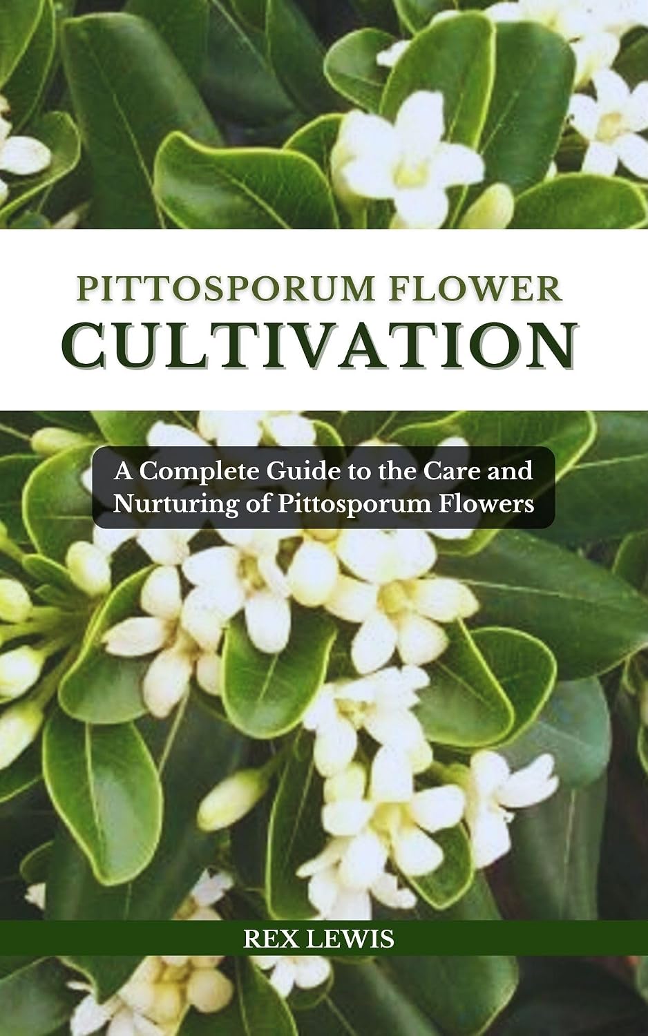 PITTOSPORUM FLOWER CULTIVATION: A Complete Guide to the Care and Nurturing of Pittosporum Flowers (English Edition) baixar livro de graça