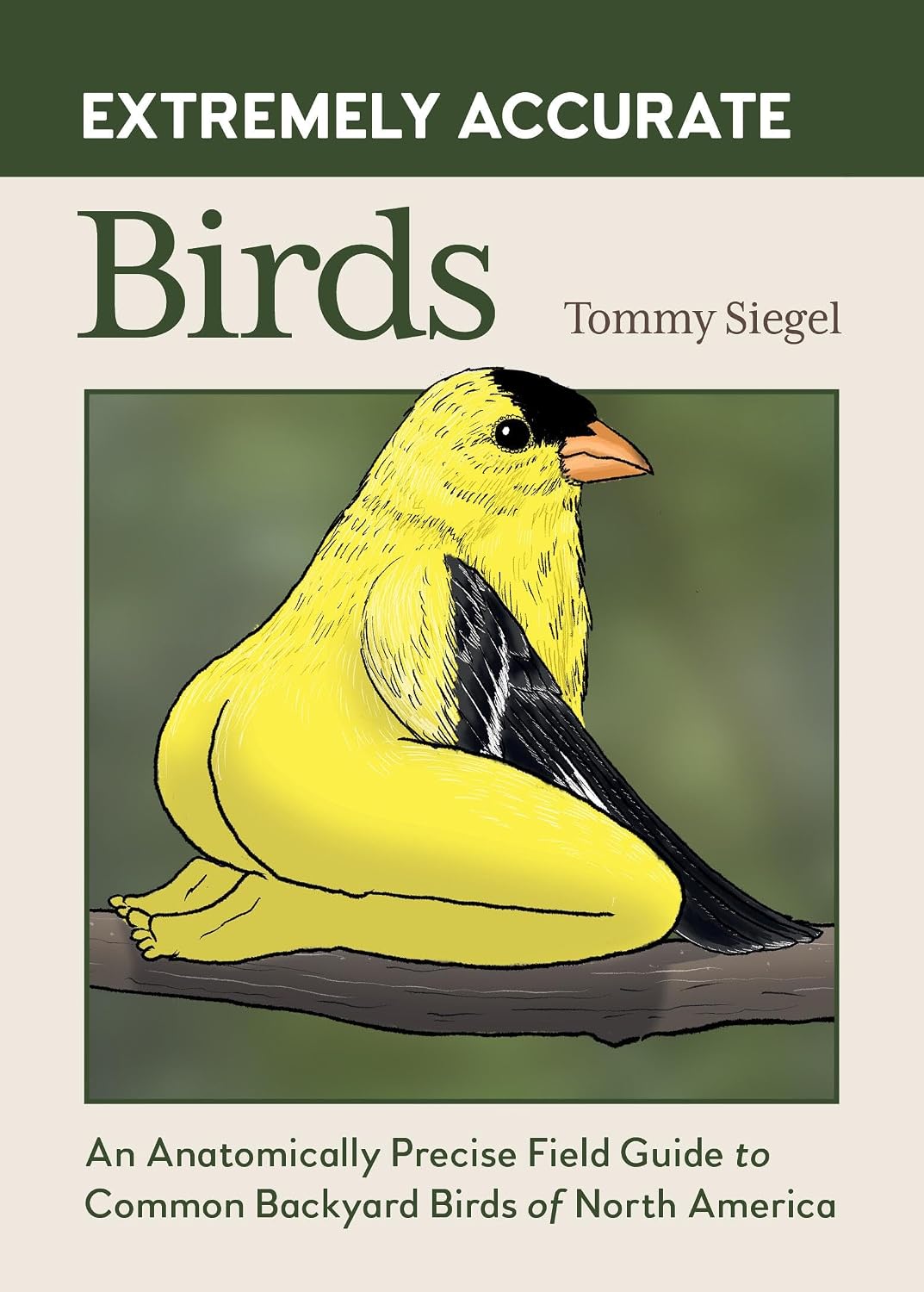Extremely Accurate Birds: An Anatomically Precise Field Guide to Common Backyard Birds of North America baixar livro de graça