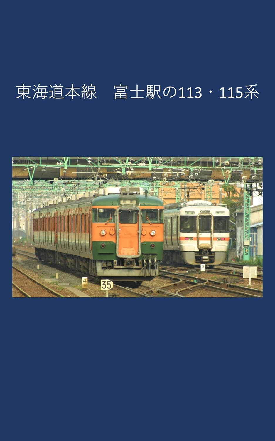 Tokaido Main Line Fuji Station 113 115 series (Japanese Edition)