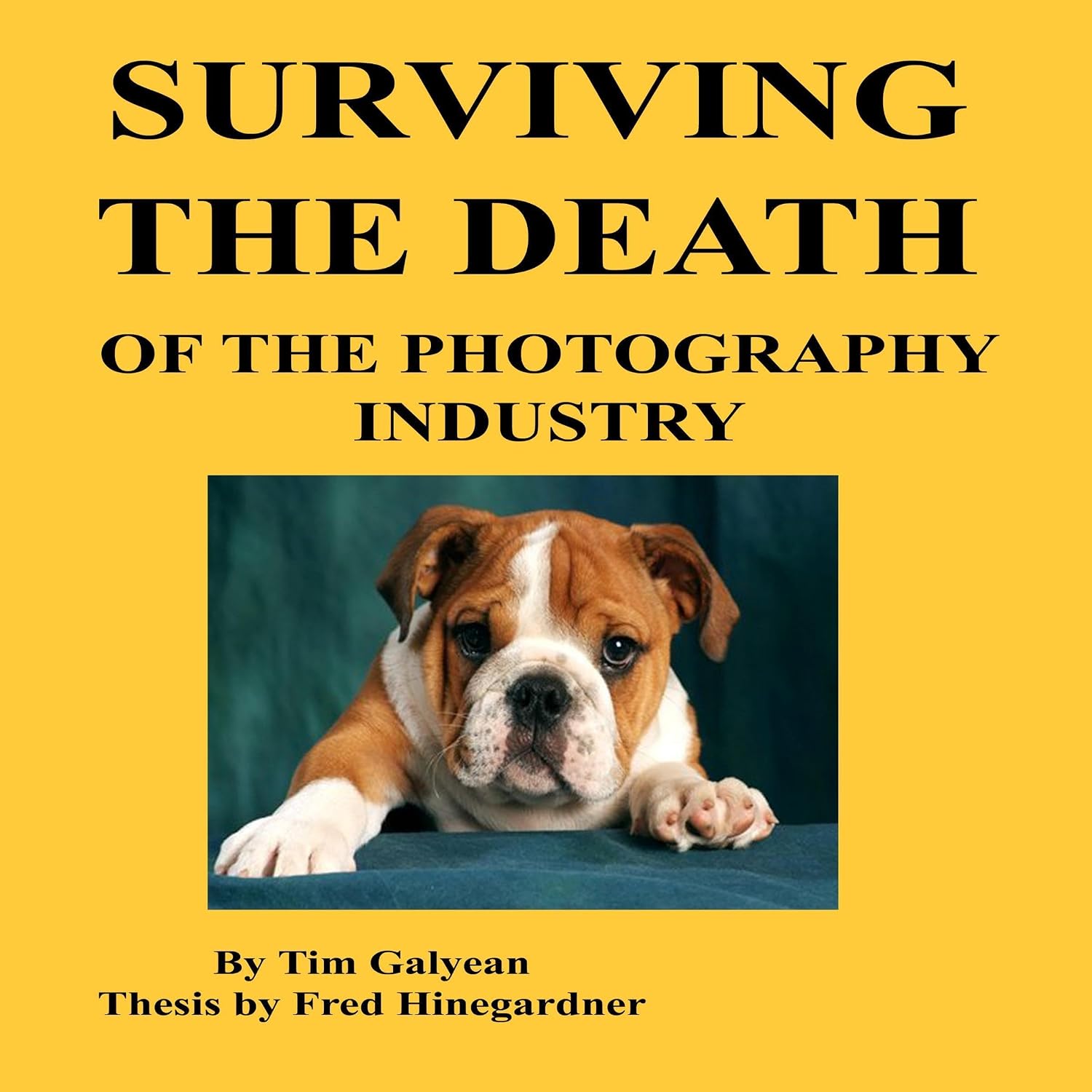 Surviving the Death of the Photography Industry: Keeping Your Photography Business Going in Changing Times baixar o livro de graça