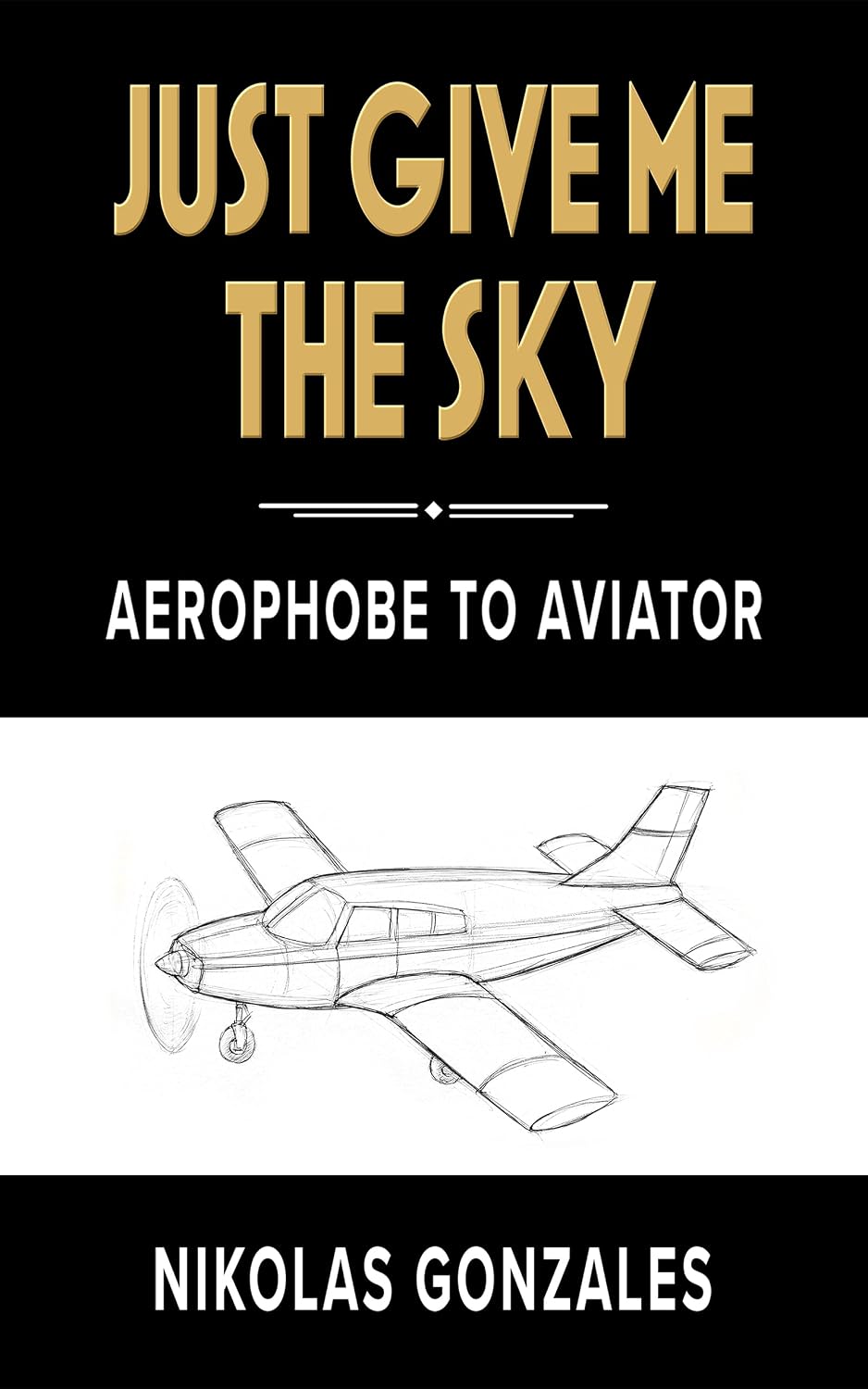 capítulo por capítulo baixar Just Give Me the Sky: Aerophobe to Aviator (English Edition)