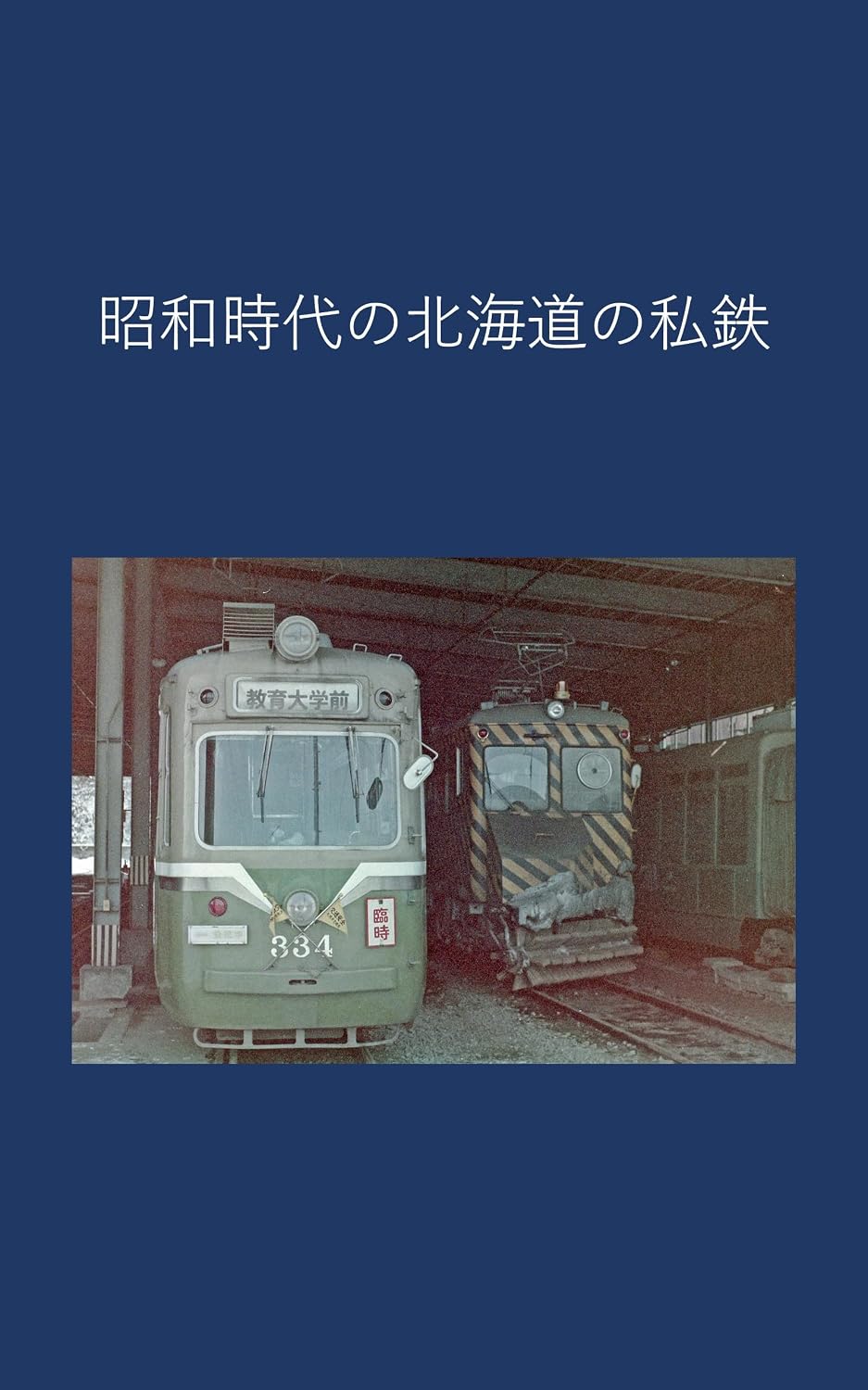 Private railways in Hokkaido during the Showa era (Japanese Edition) baixar o livro de graça