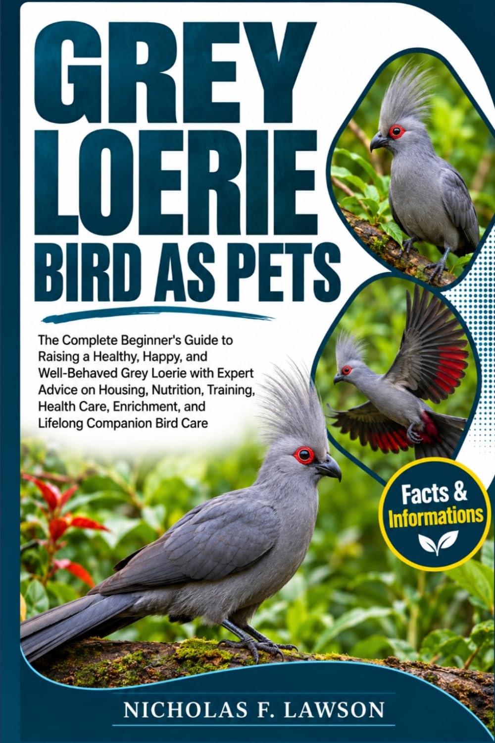 Grey Loerie Bird as Pets: The Complete Beginner's Guide to Raising a Healthy, Happy, and Well-Behaved Grey Loerie with Expert Advice on Housing,... Enrichment, and Lifelong Companion Bird Care baixar o livro de graça