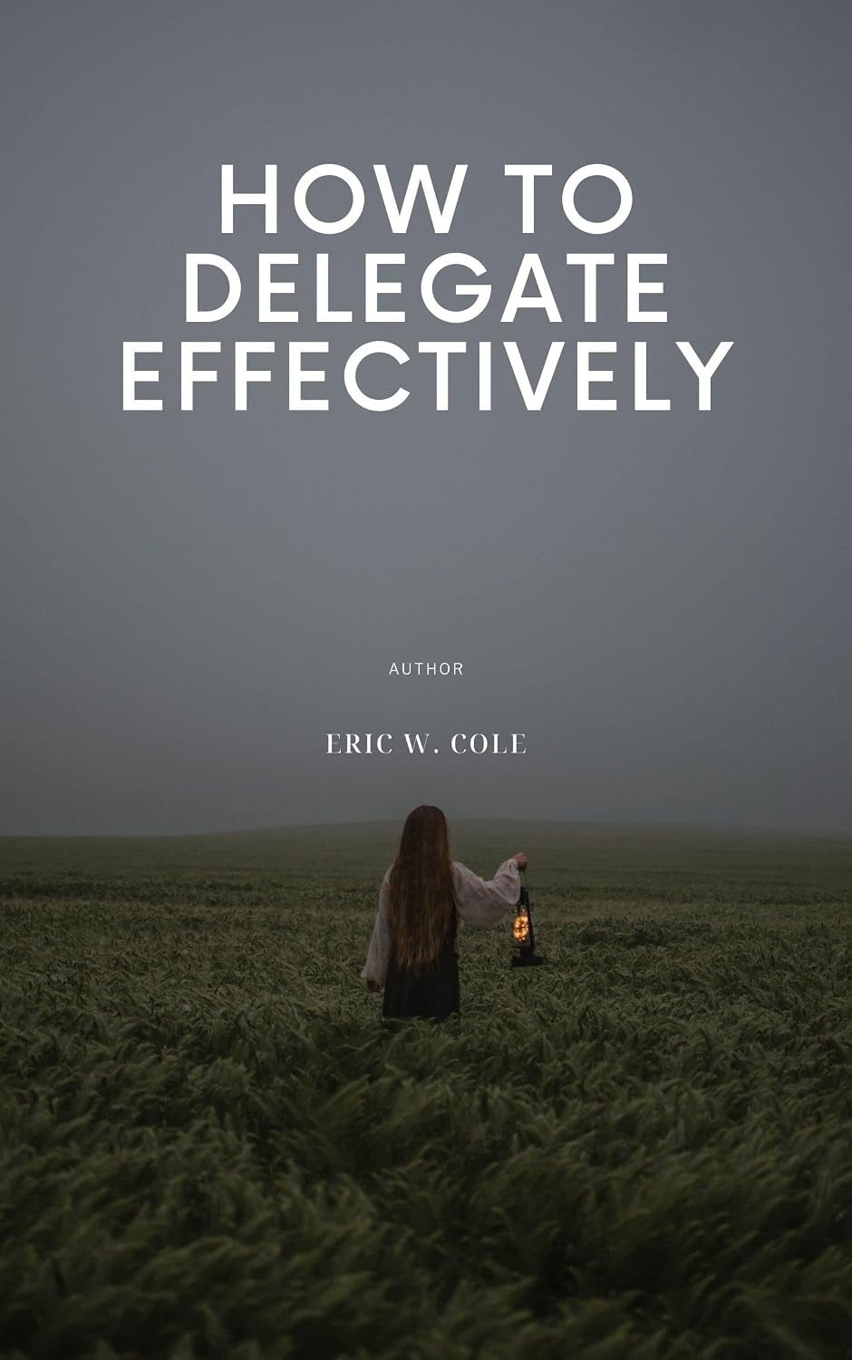 HOW TO DELEGATE EFFECTIVELY (English Edition) baixar livro de graça