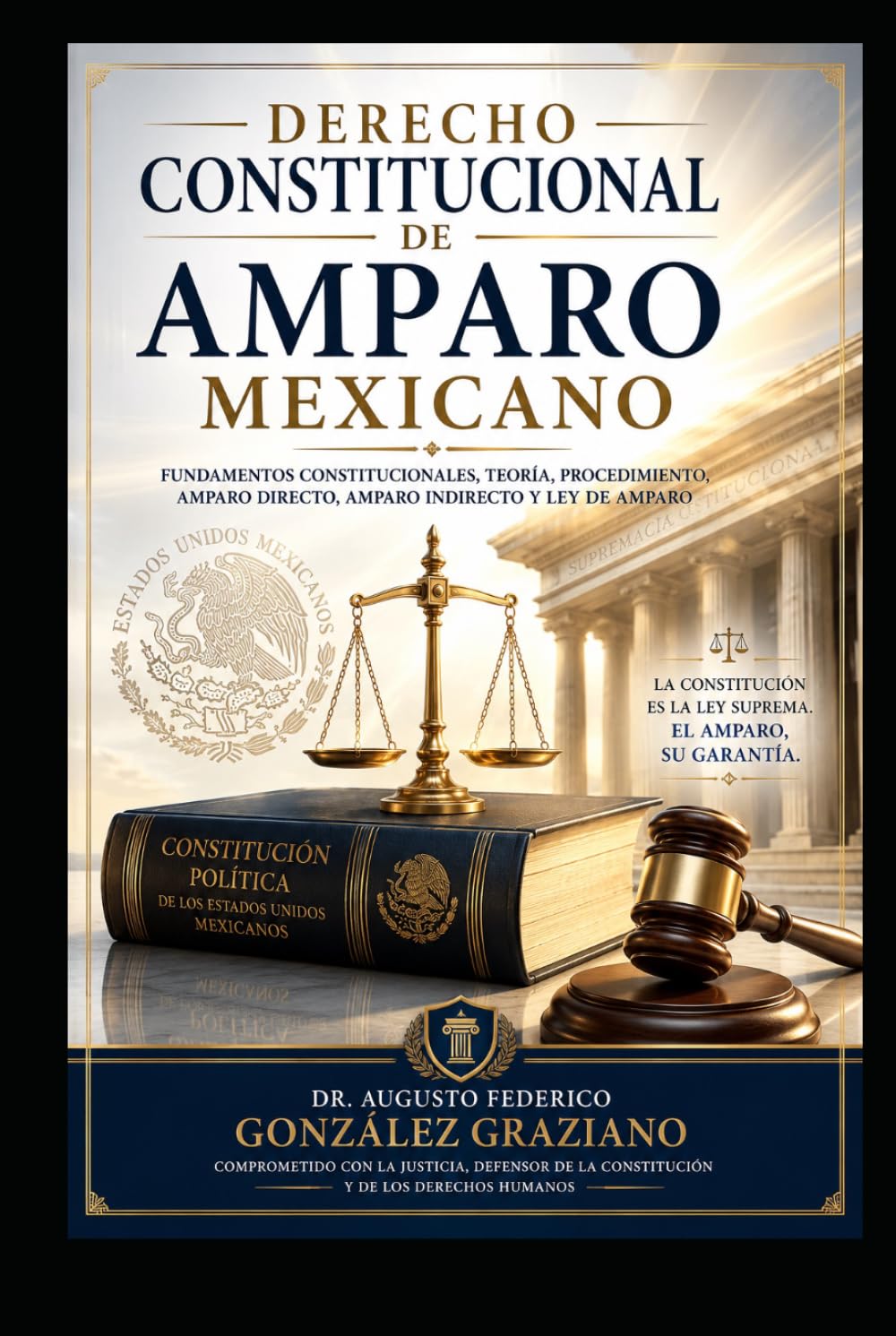 DERECHO CONSTITUCIONAL DE AMPARO MEXICANO: Fundamentos constitucionales, teoría, procedimiento, amparo directo, amparo indirecto y Ley de Amparo (Spanish Edition) baixar o livro de graça