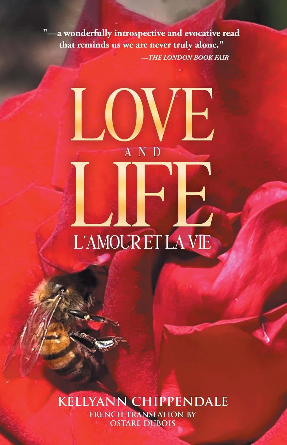 capítulo por capítulo baixar LOVE AND LIFE (L'AMOUR ET LA VIE) (French Edition)