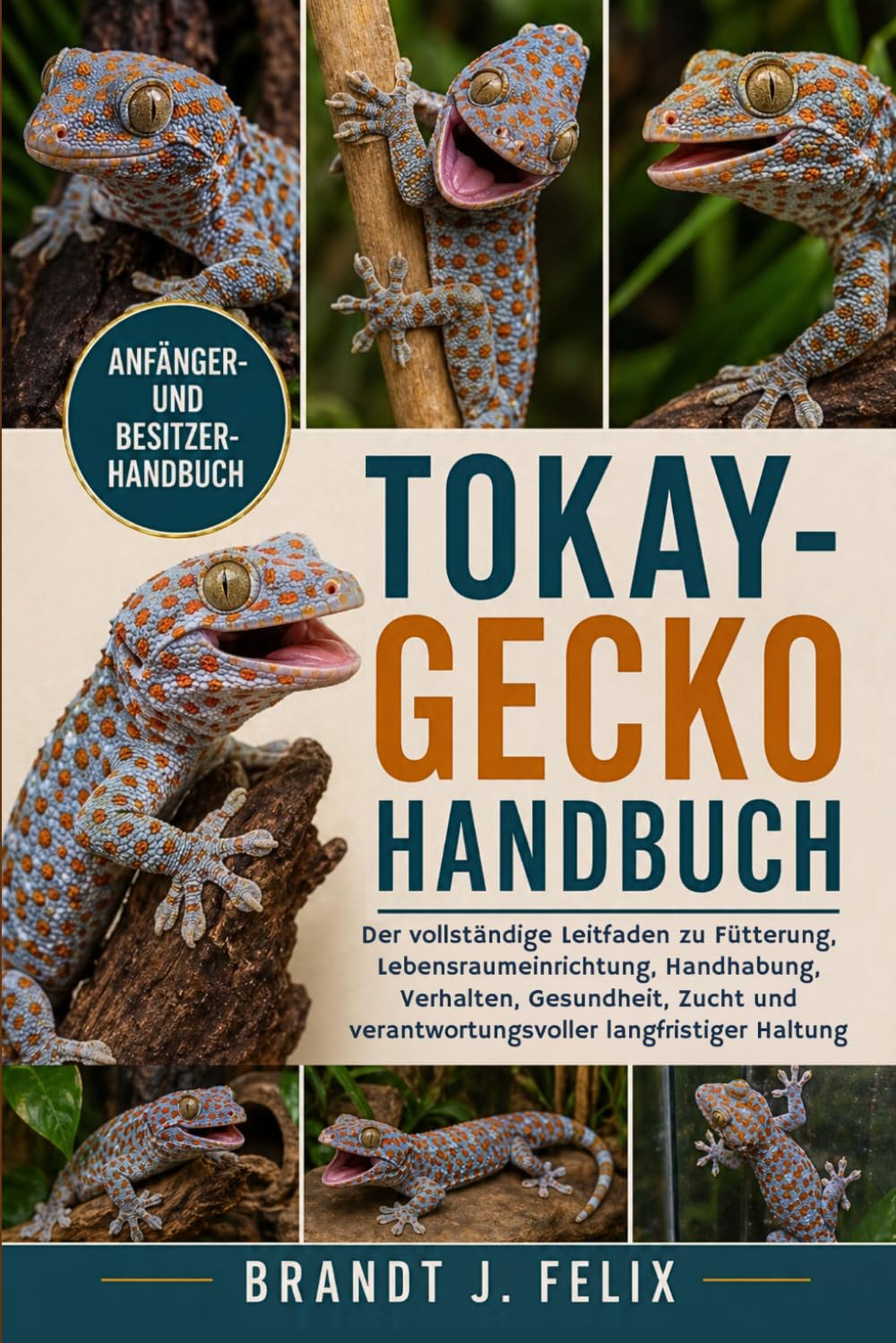 Tokay-Gecko Handbuch: Der vollständige Leitfaden zu Fütterung, Lebensraumeinrichtung, Handhabung, Verhalten, Gesundheit, Zucht und verantwortungsvoller langfristiger Haltung baixar livro de graça