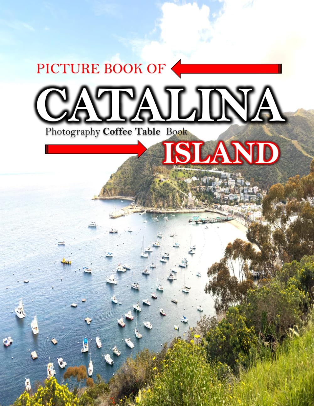 CATALINA: Wonderful pictures that give you an idea of an amazing country, the style of buildings, castles, etc., for all travel lovers. baixar livro de graça