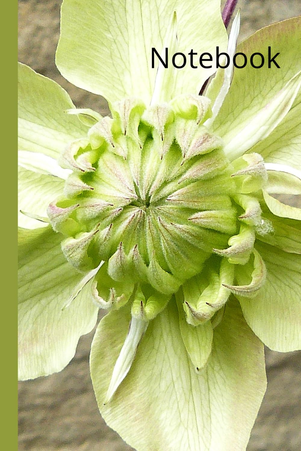 capítulo por capítulo baixar Notebook: Green Glematis, Original Art Photograph Cover, 120 Lined Pages, 6" x 9"