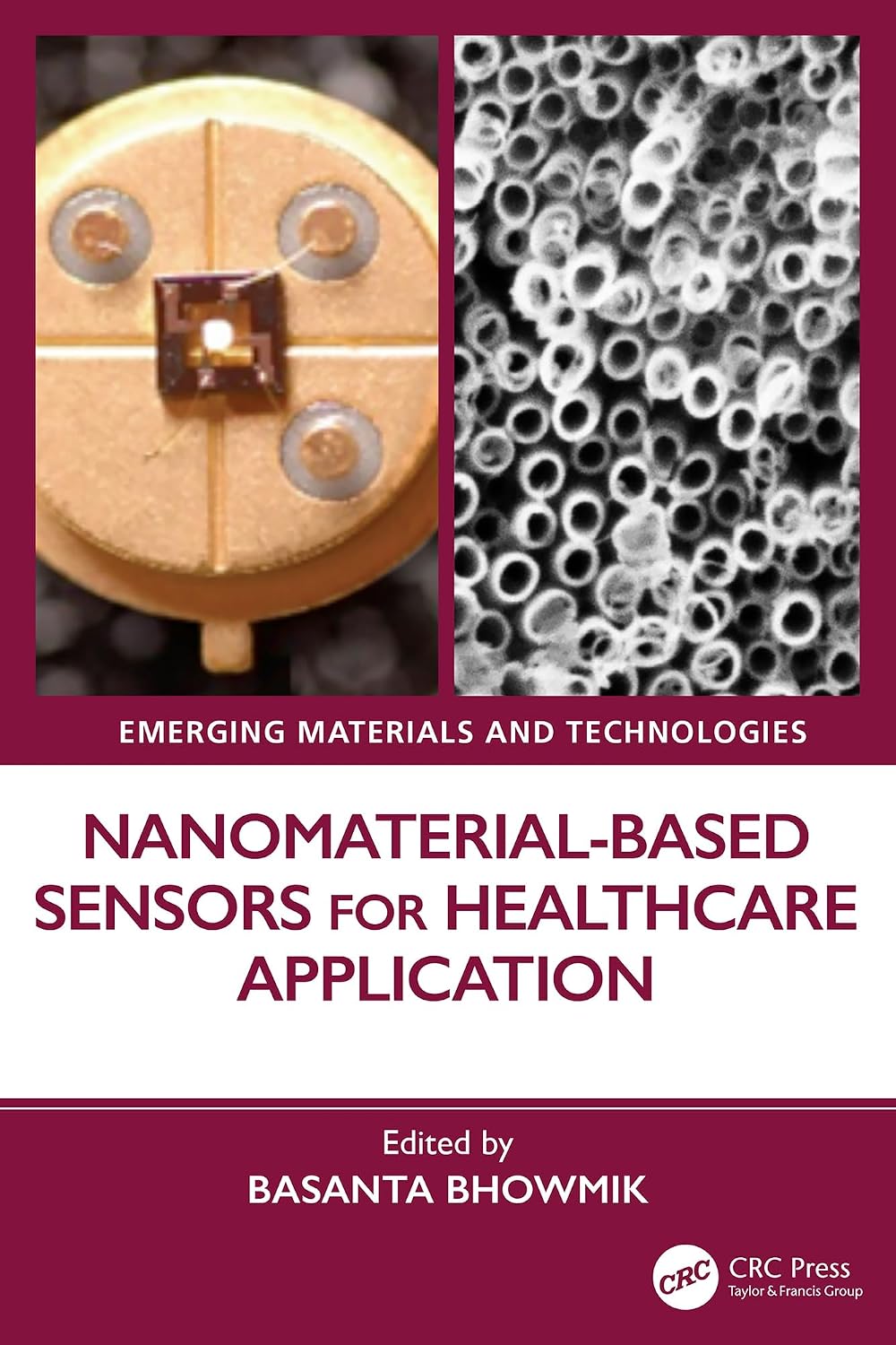 Nanomaterial-based Sensors for Healthcare Application (Emerging Materials and Technologies) (English Edition)