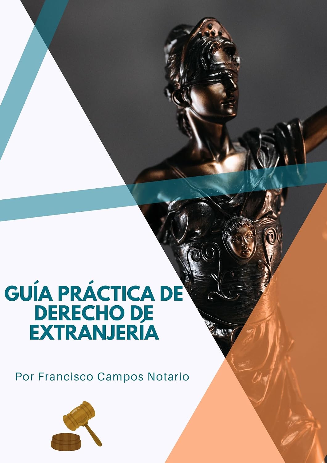 Guía Práctica de Derecho de Extranjería (Spanish Edition) baixar livro de graça