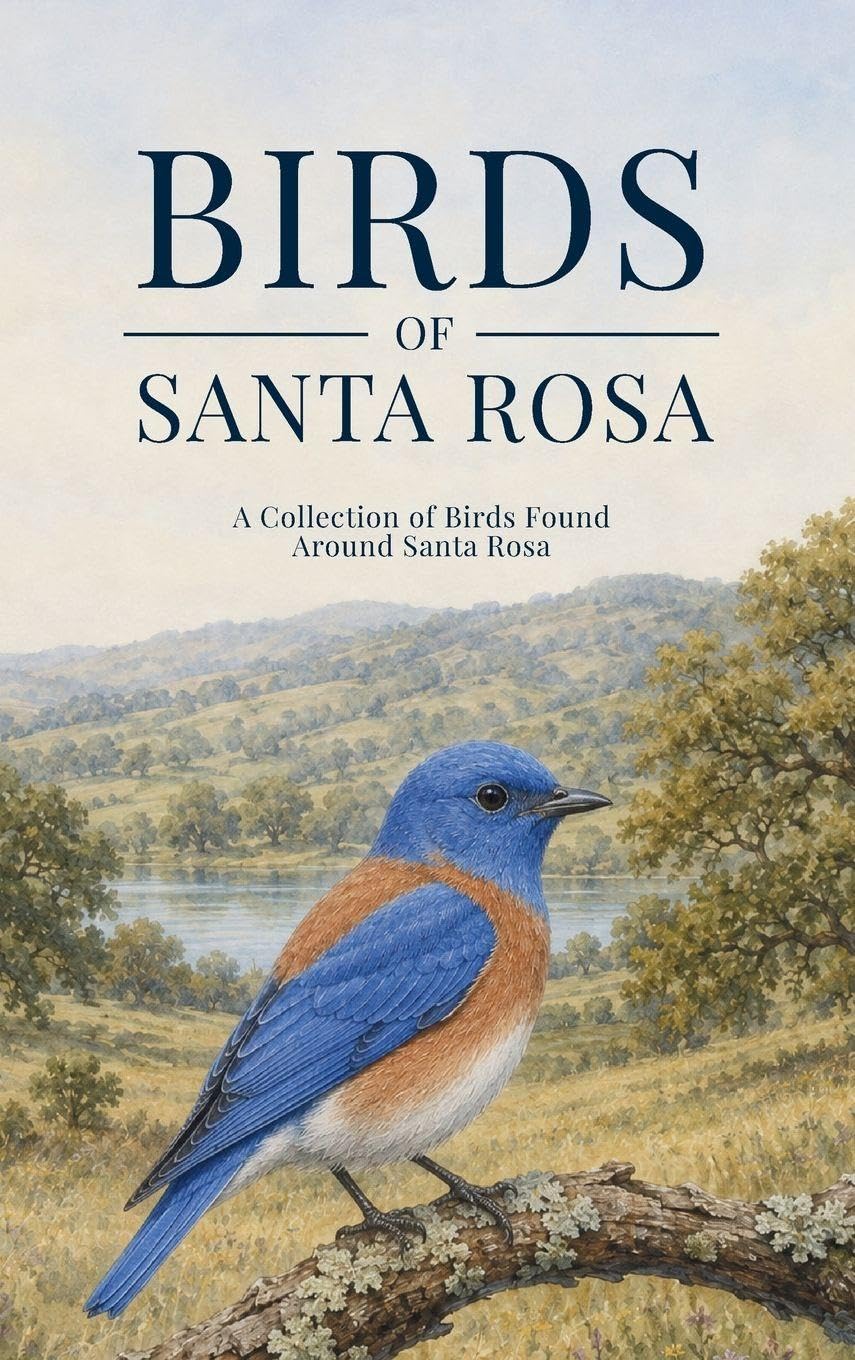 ler totalmente Birds of Santa Rosa: A Collection of Birds Found Around Santa Rosa