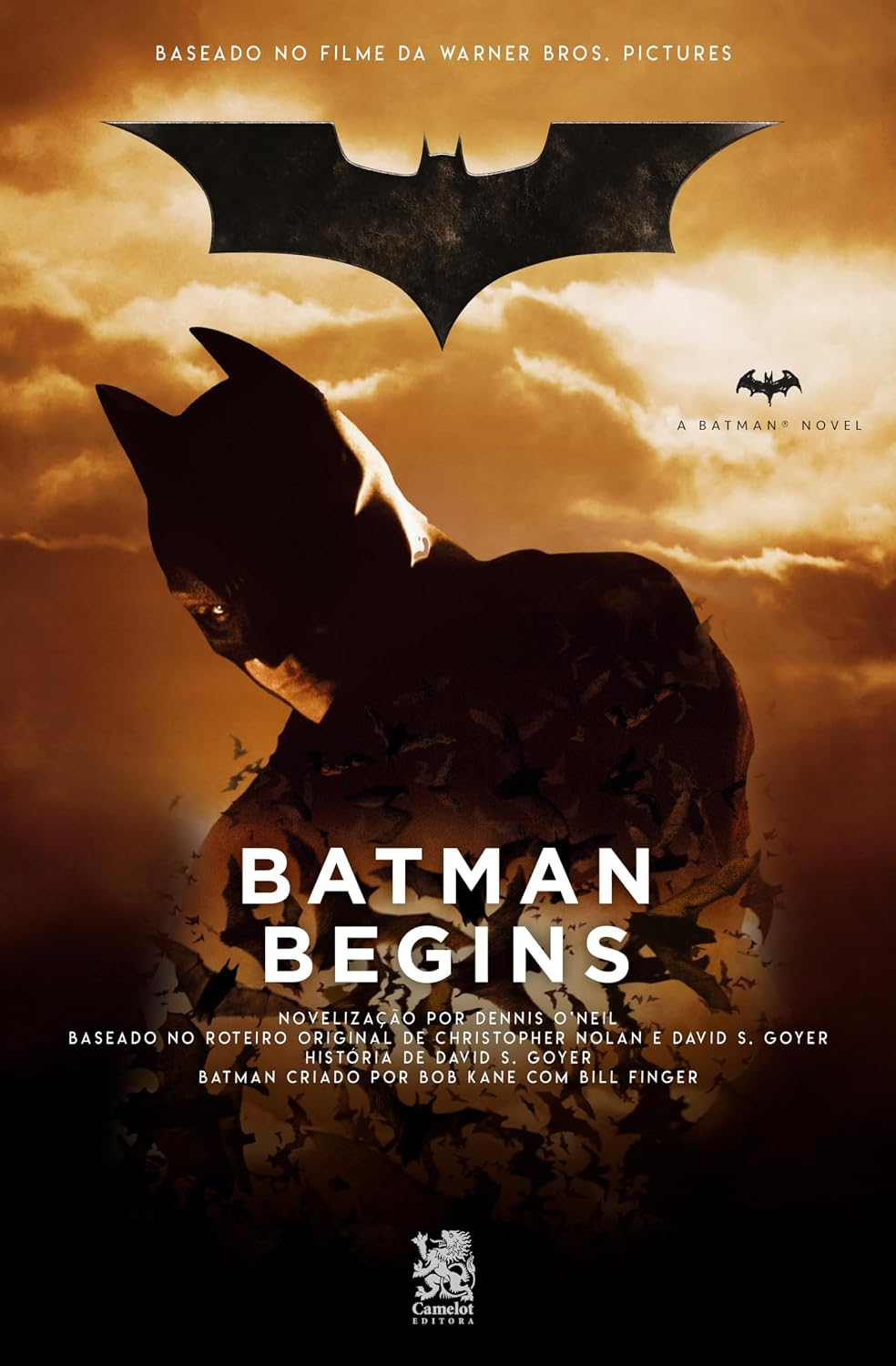Batman Begins
