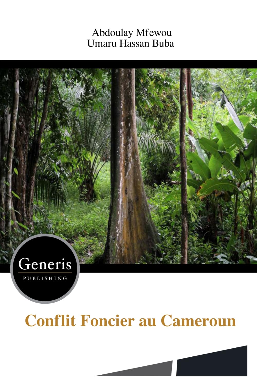 Conflit Foncier au Cameroun baixar livro de graça