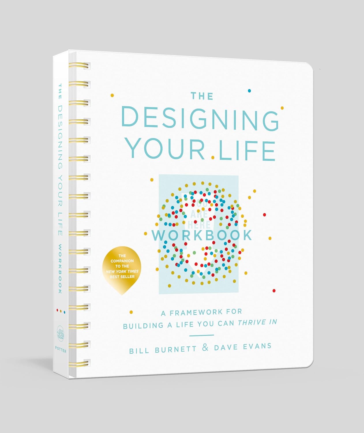 The Designing Your Life Workbook: A Framework for Building a Life You Can Thrive in baixar o livro de graça