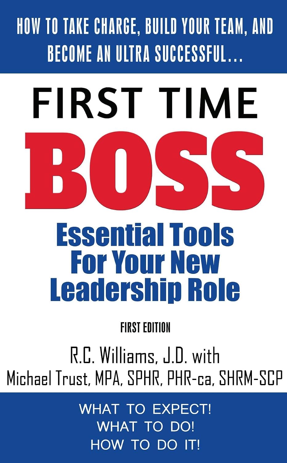 First Time Boss: Essential Tools for Your New Leadership Role (English Edition) baixar livro de graça